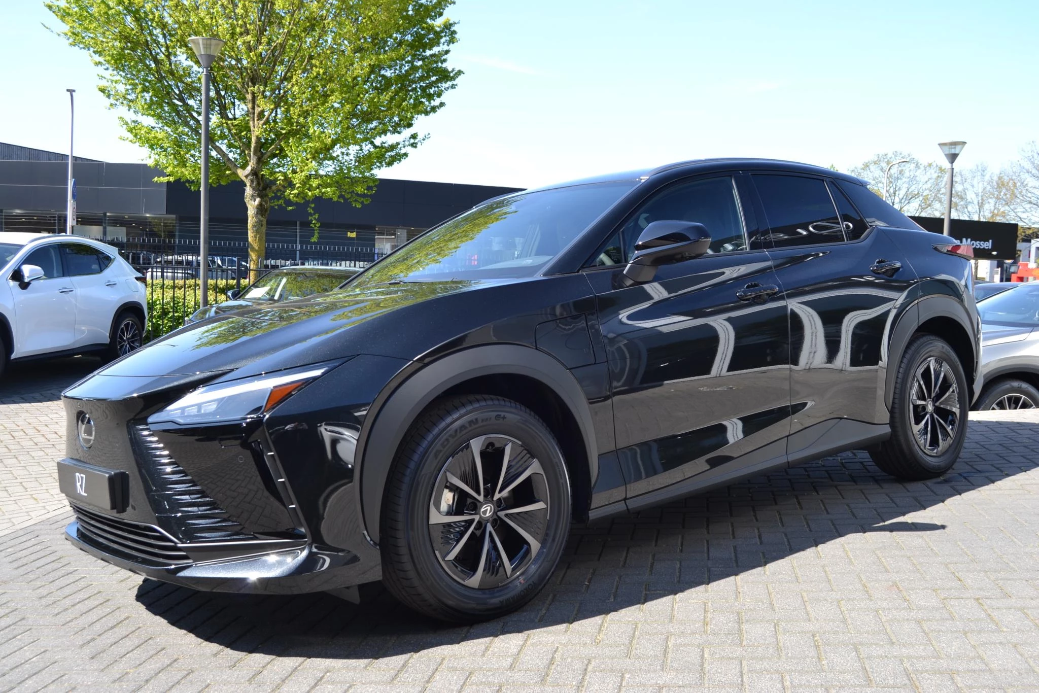 Hoofdafbeelding Lexus RZ
