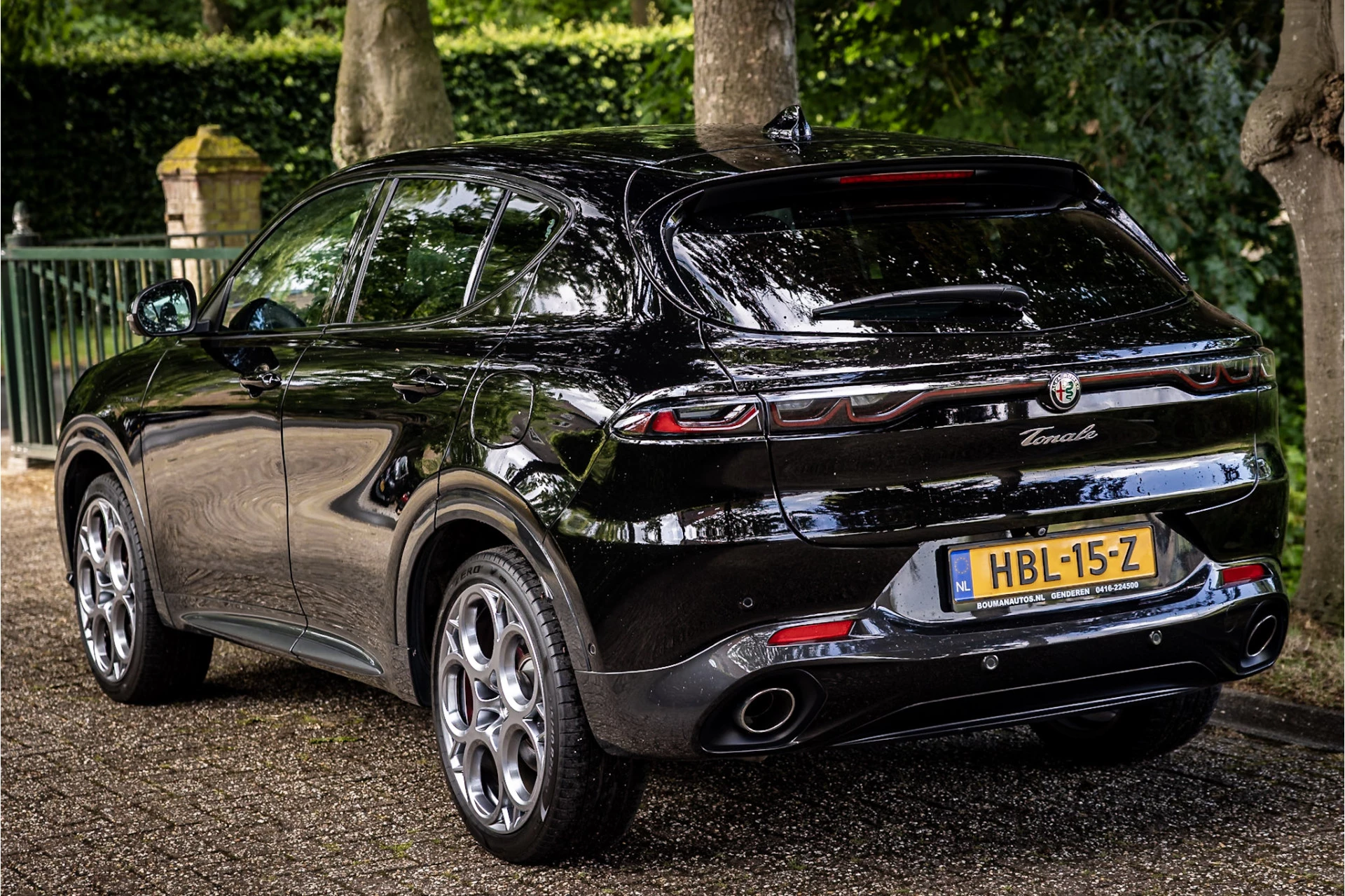 Hoofdafbeelding Alfa Romeo Tonale