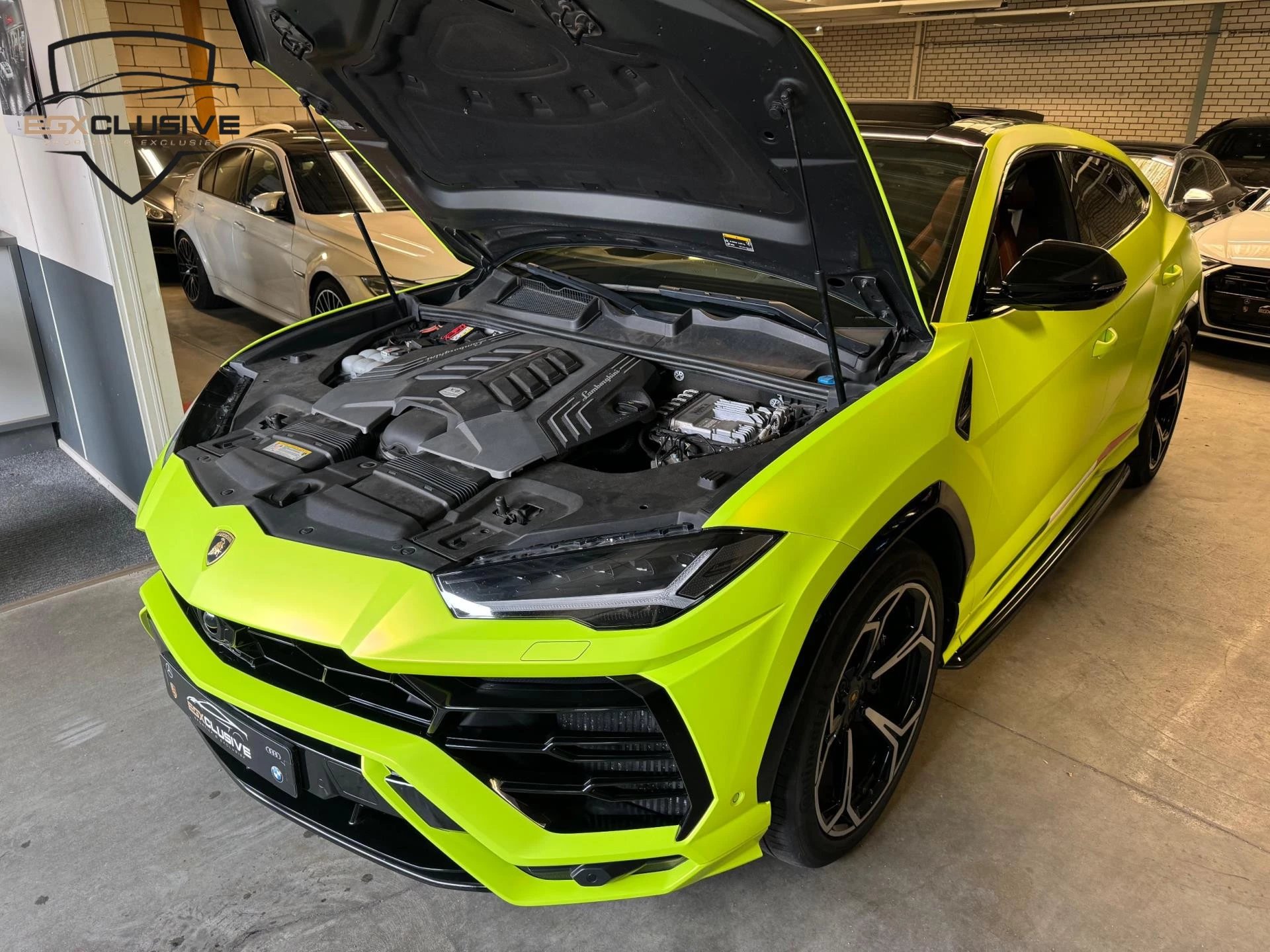 Hoofdafbeelding Lamborghini Urus