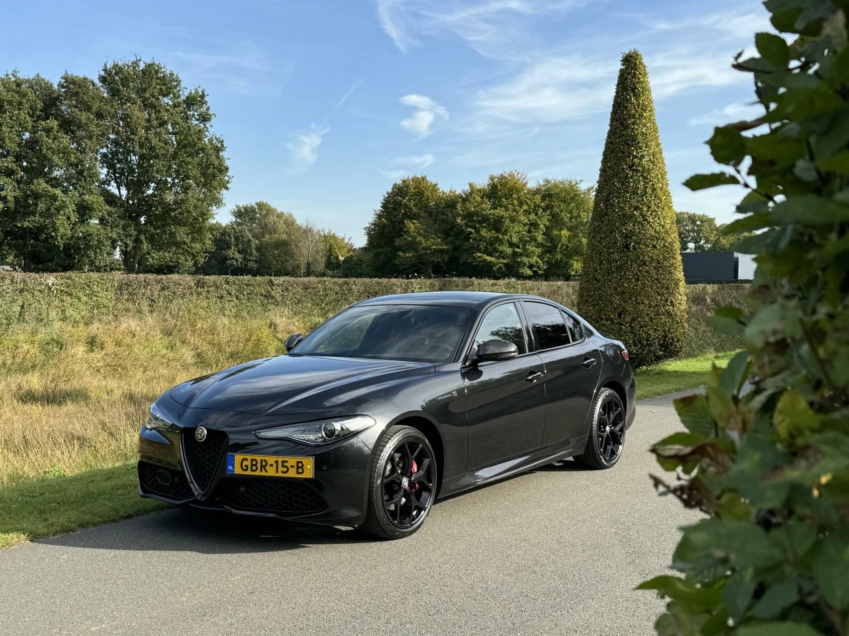 Hoofdafbeelding Alfa Romeo Giulia