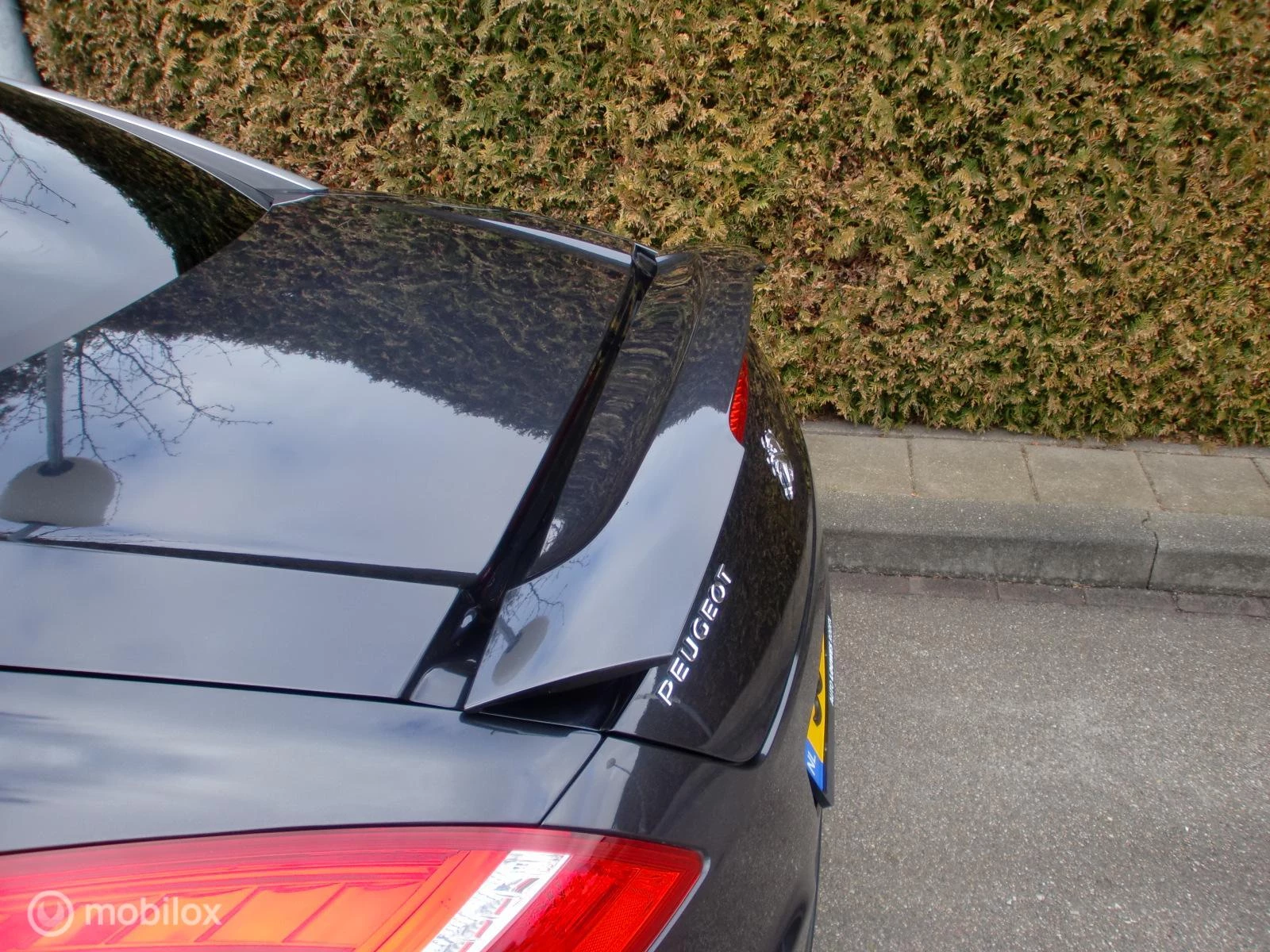 Hoofdafbeelding Peugeot RCZ