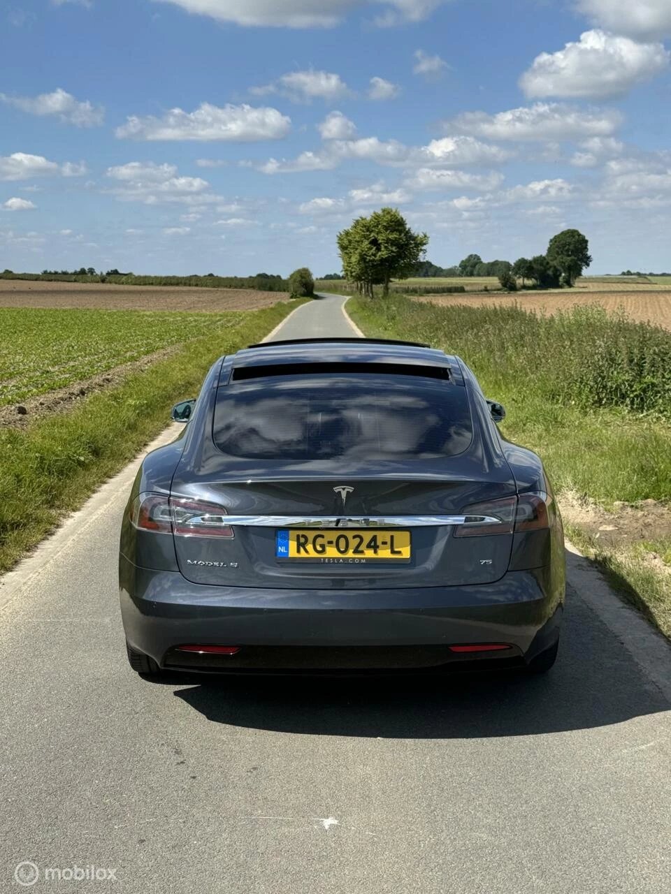 Hoofdafbeelding Tesla Model S