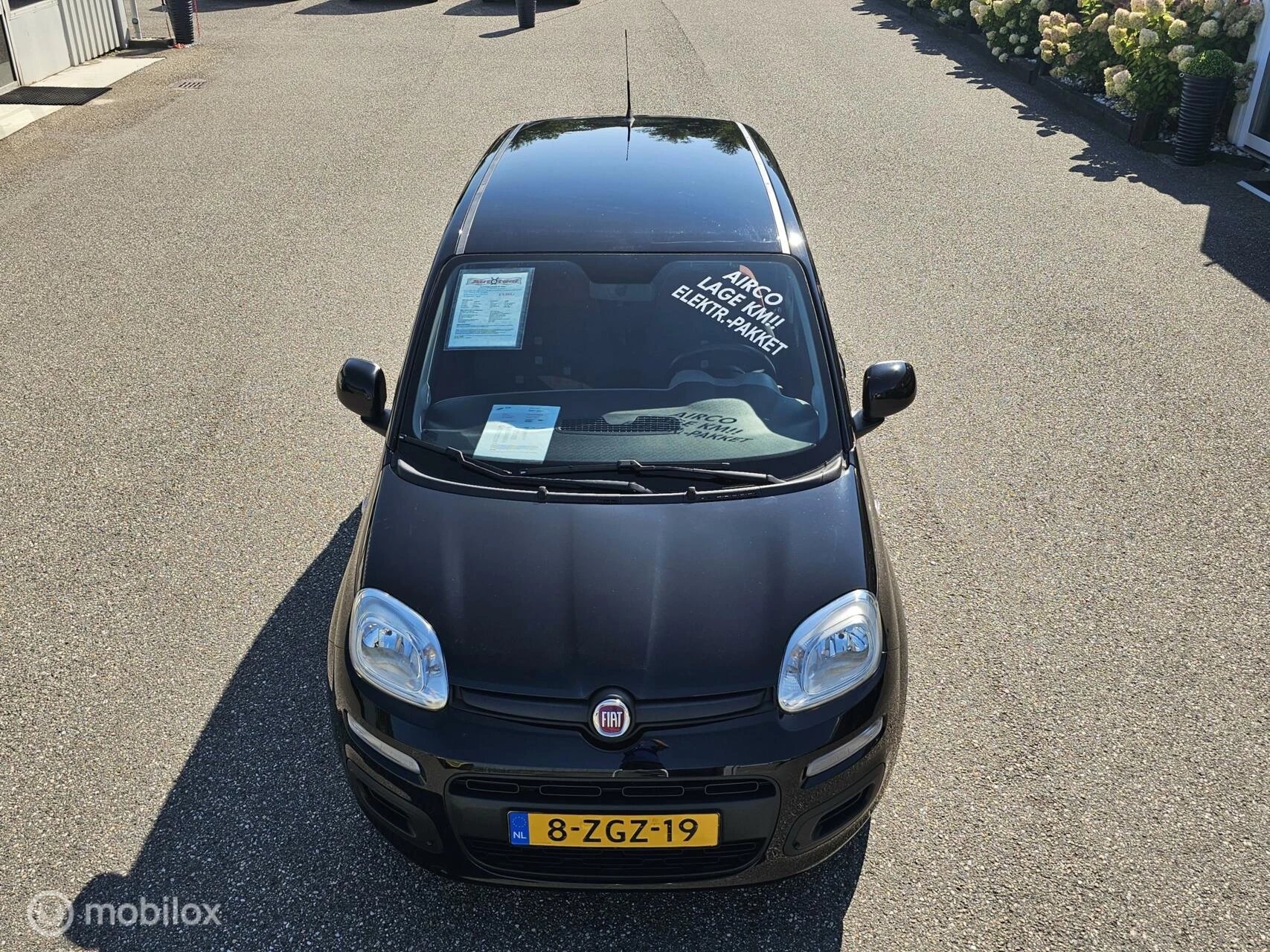 Hoofdafbeelding Fiat Panda