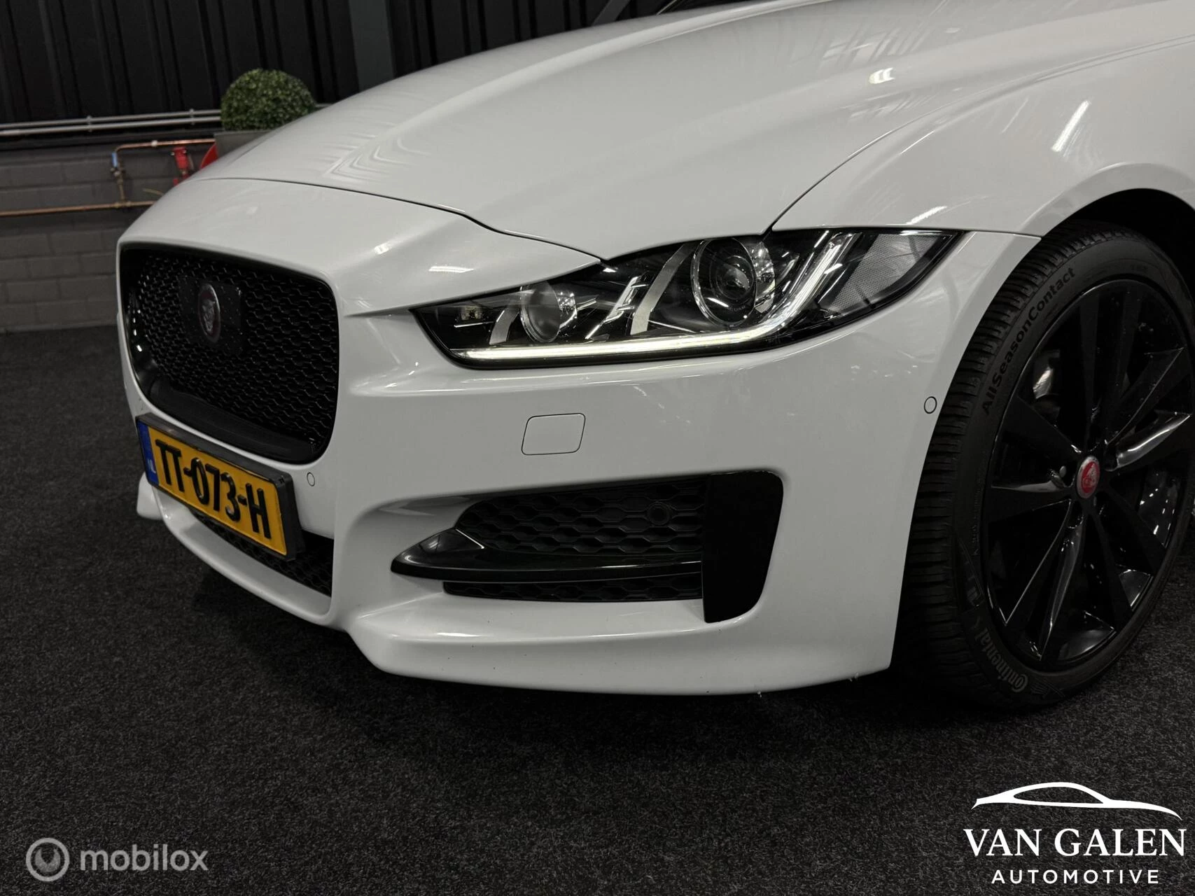 Hoofdafbeelding Jaguar XE