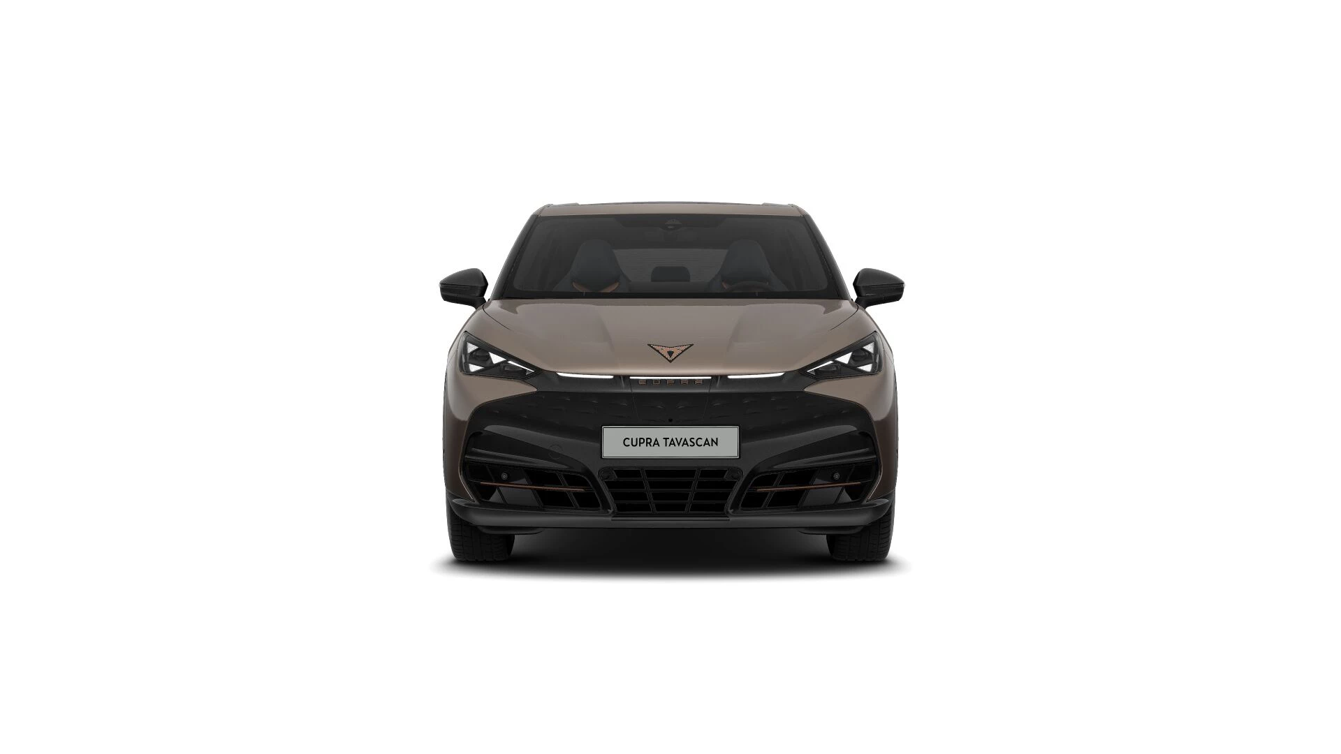 Hoofdafbeelding CUPRA Tavascan