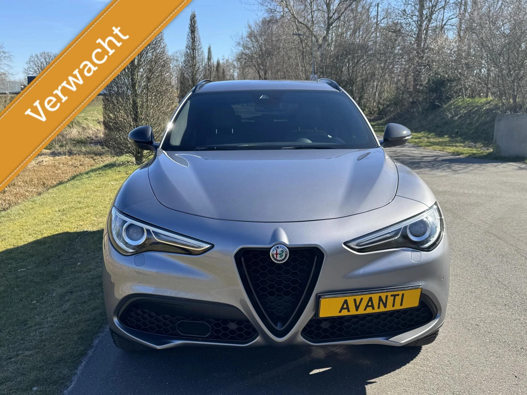 Hoofdafbeelding Alfa Romeo Stelvio