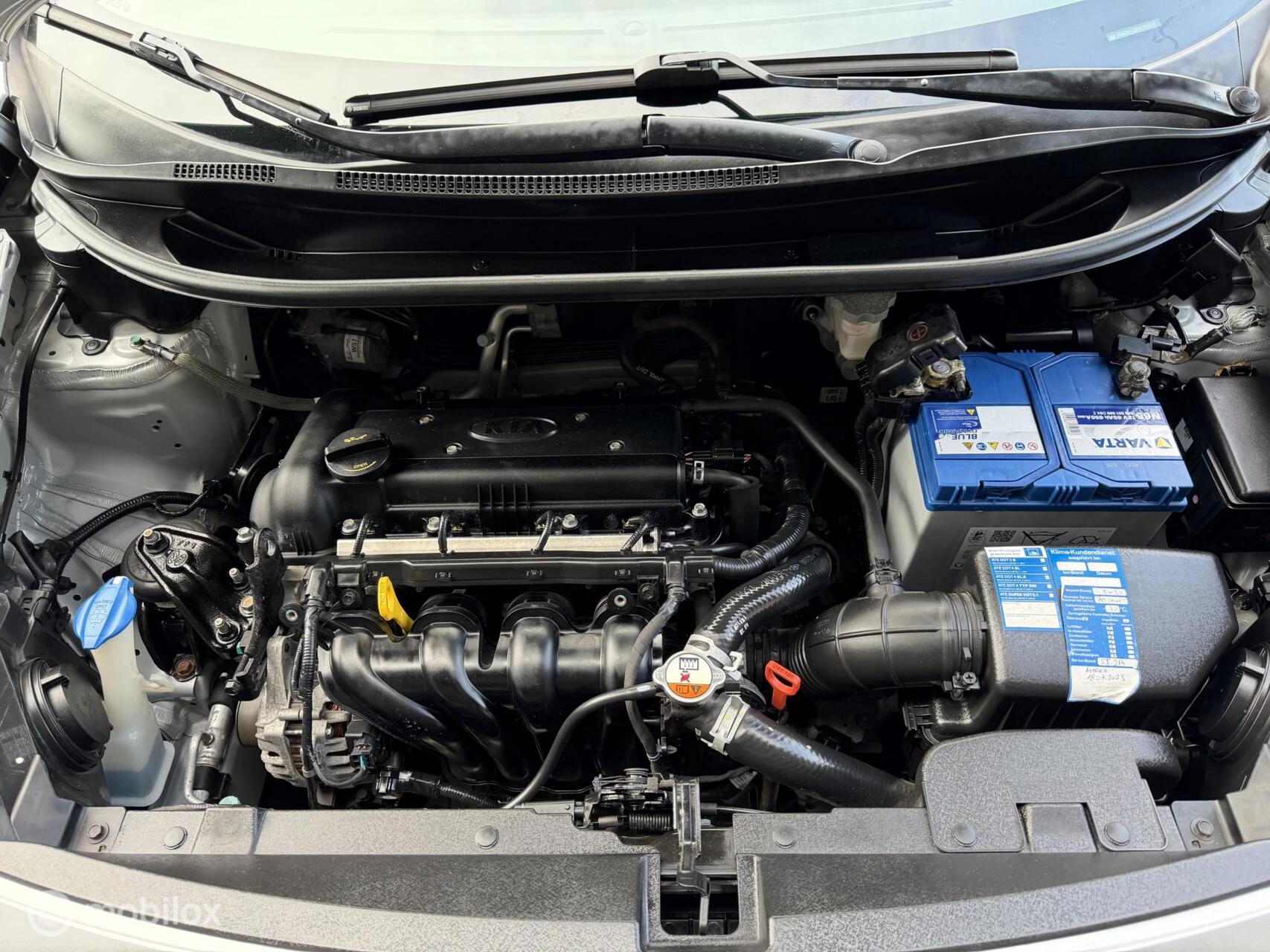 Hoofdafbeelding Kia Rio