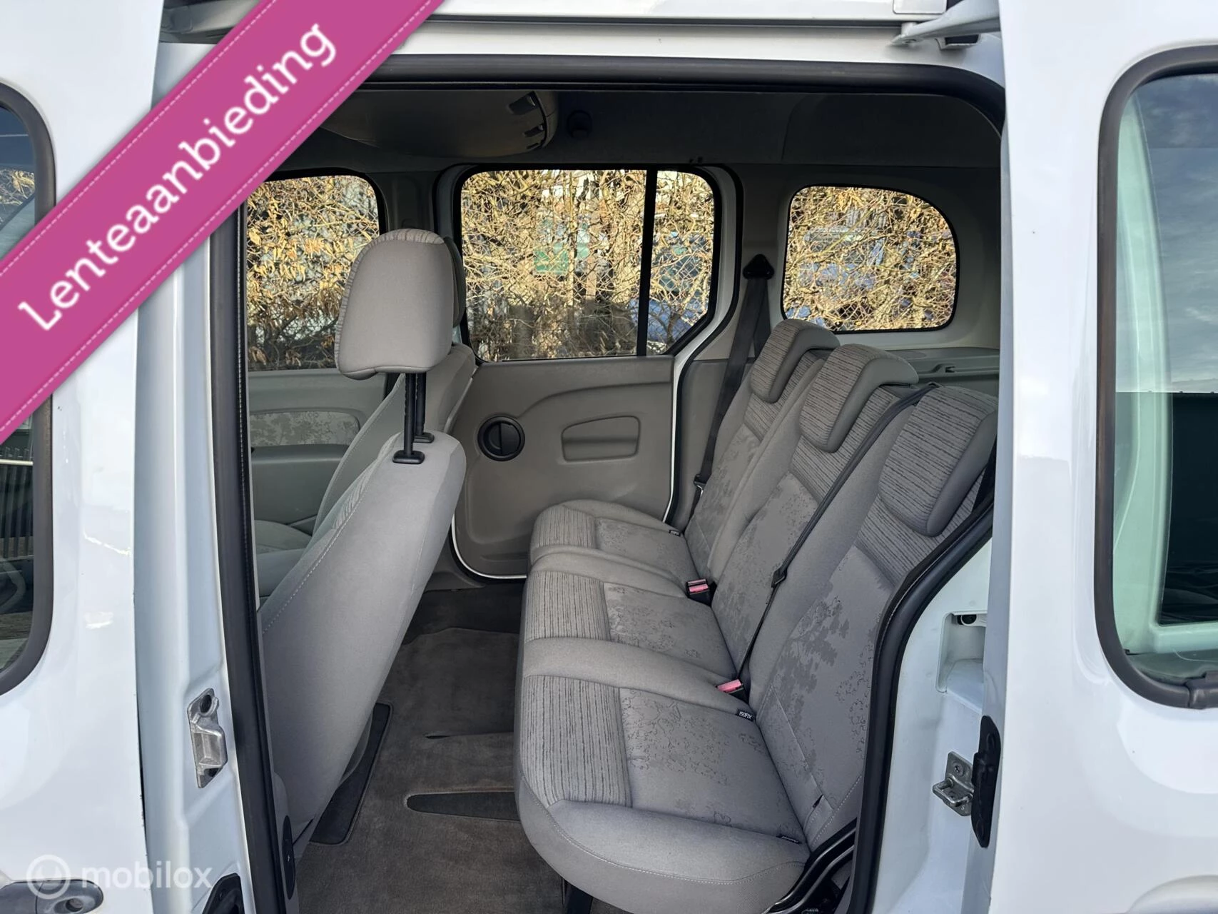 Hoofdafbeelding Renault Kangoo