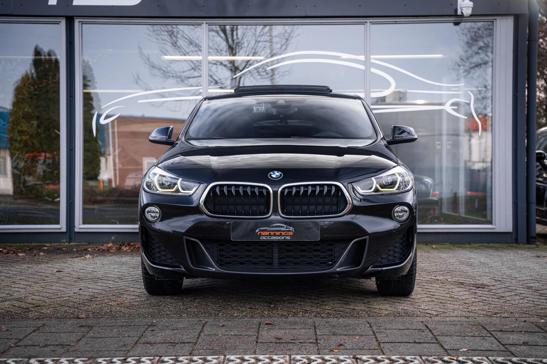 Hoofdafbeelding BMW X2