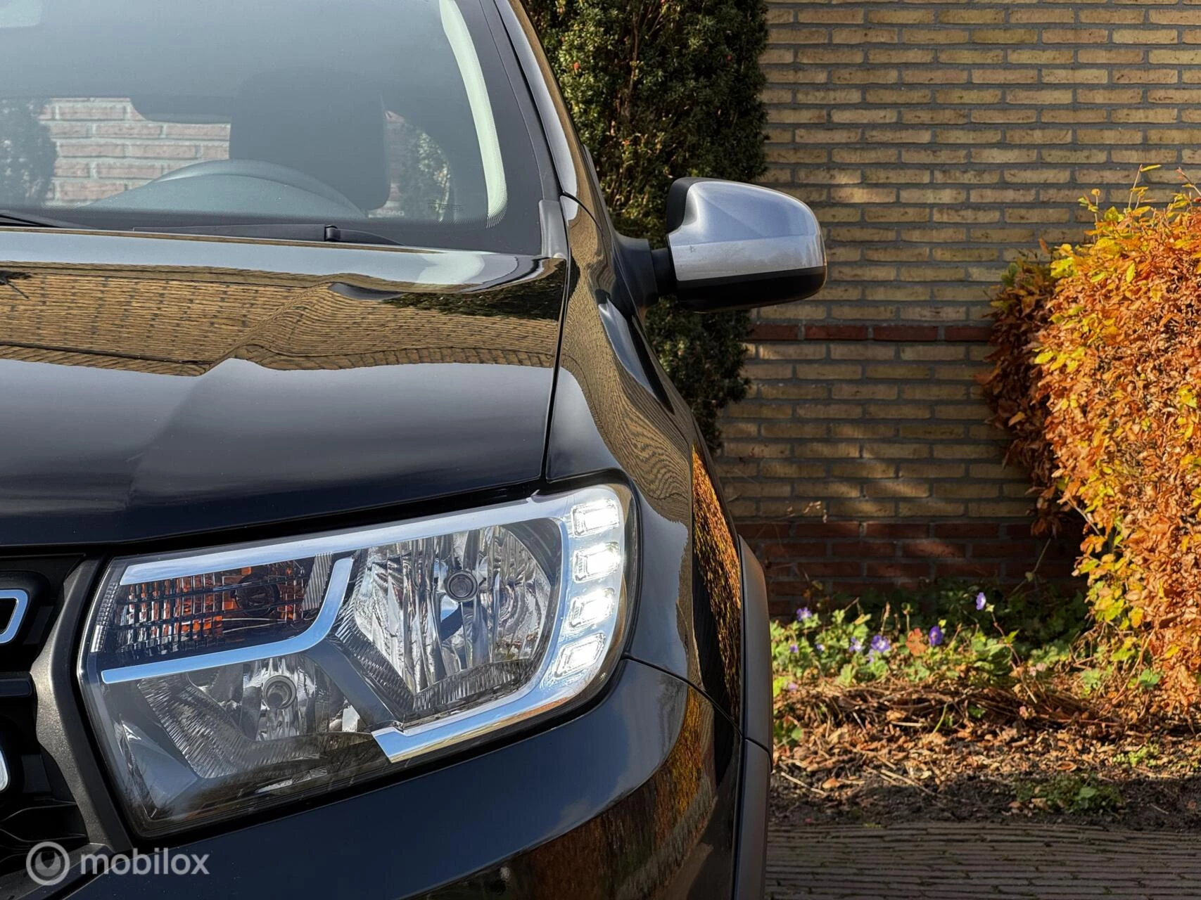 Hoofdafbeelding Dacia Sandero Stepway