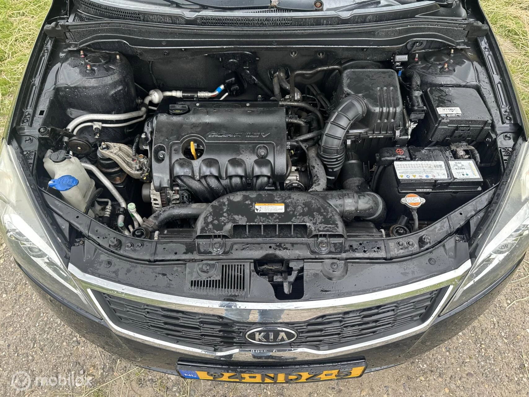 Hoofdafbeelding Kia cee'd