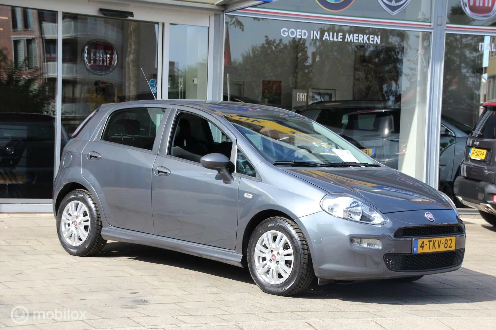 Hoofdafbeelding Fiat Punto