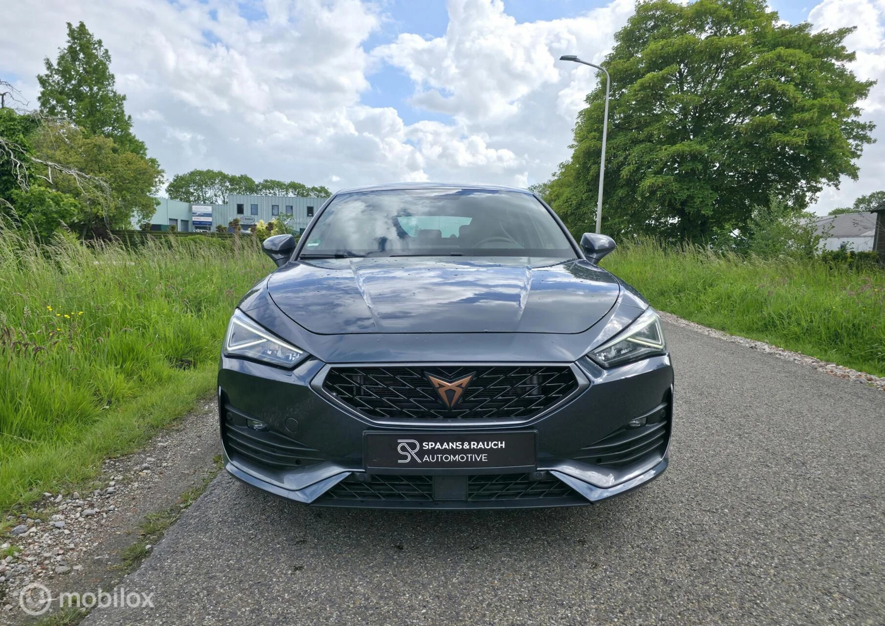 Hoofdafbeelding CUPRA Leon