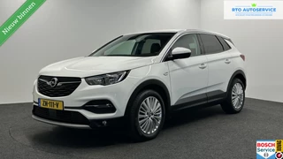 Opel Grandland X 1.2 Turbo Innovation TREKHAAK NAVI CAMERA ECC LM