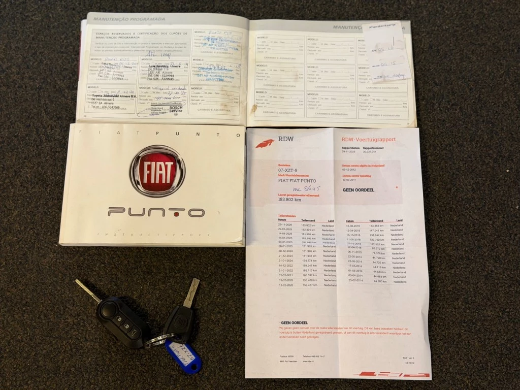 Hoofdafbeelding Fiat Punto