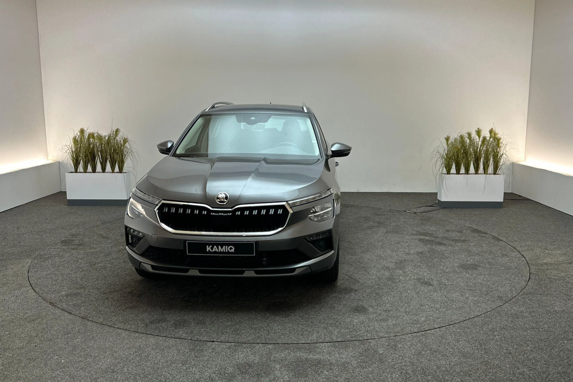 Hoofdafbeelding Škoda Kamiq