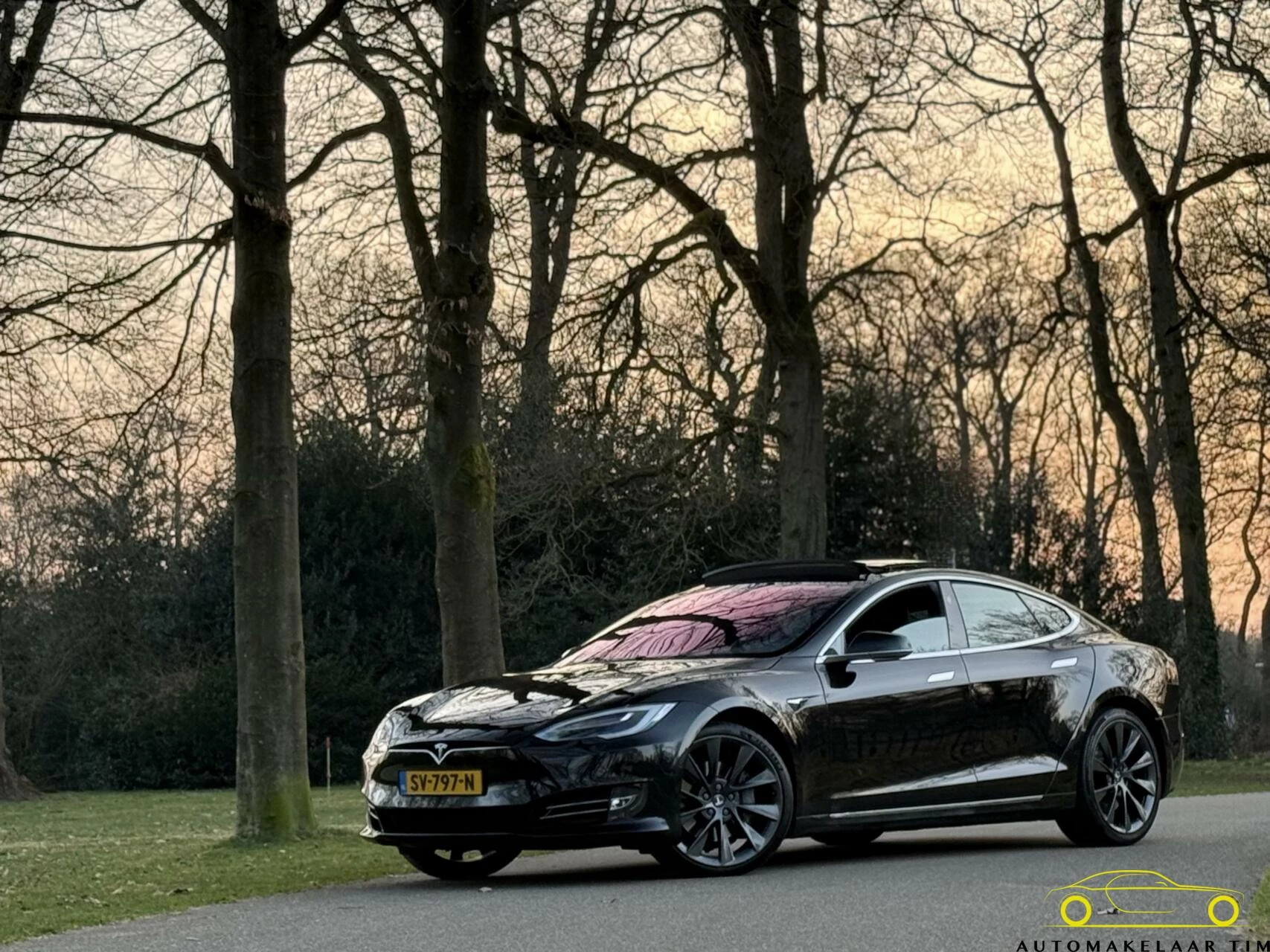 Hoofdafbeelding Tesla Model S