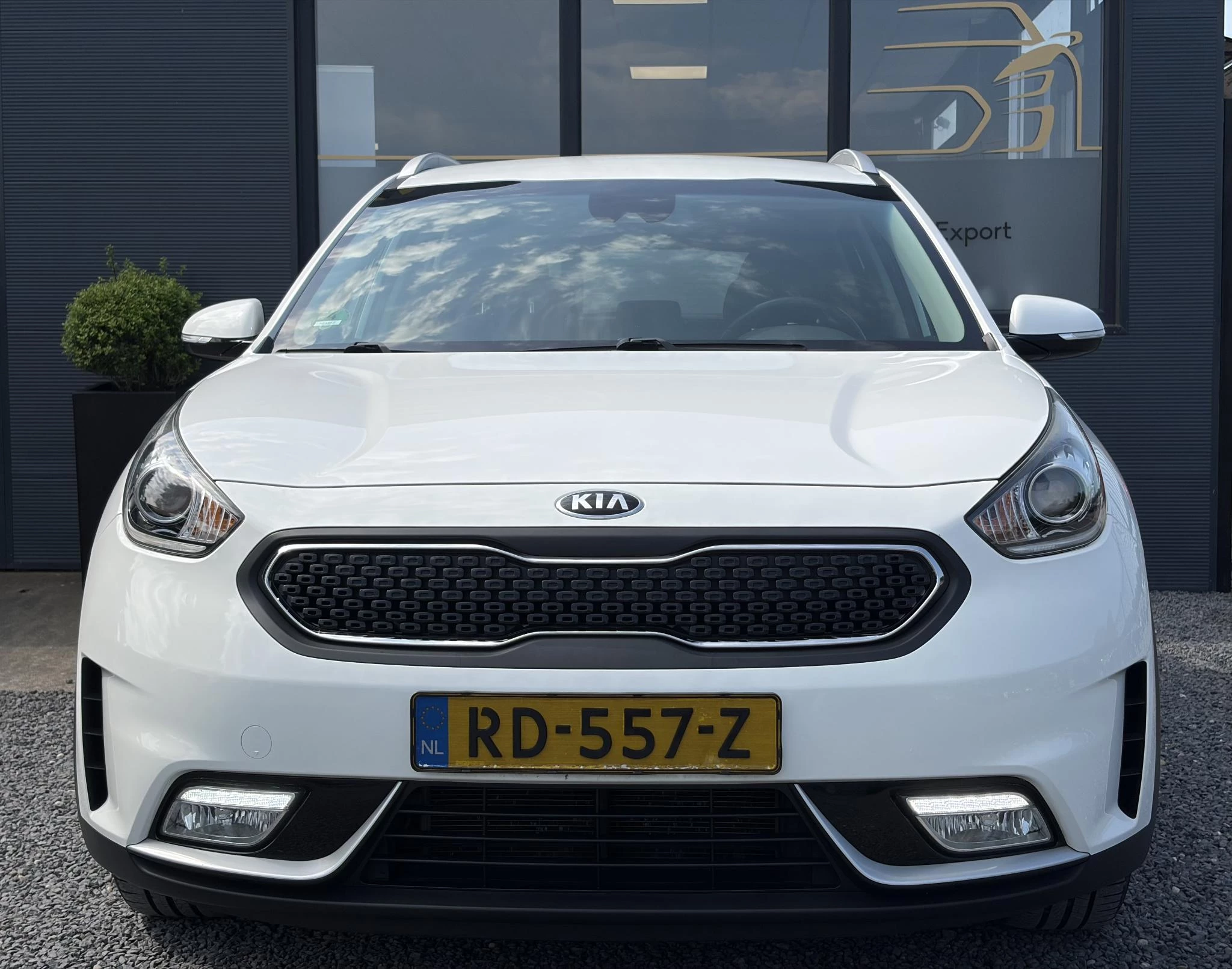 Hoofdafbeelding Kia Niro