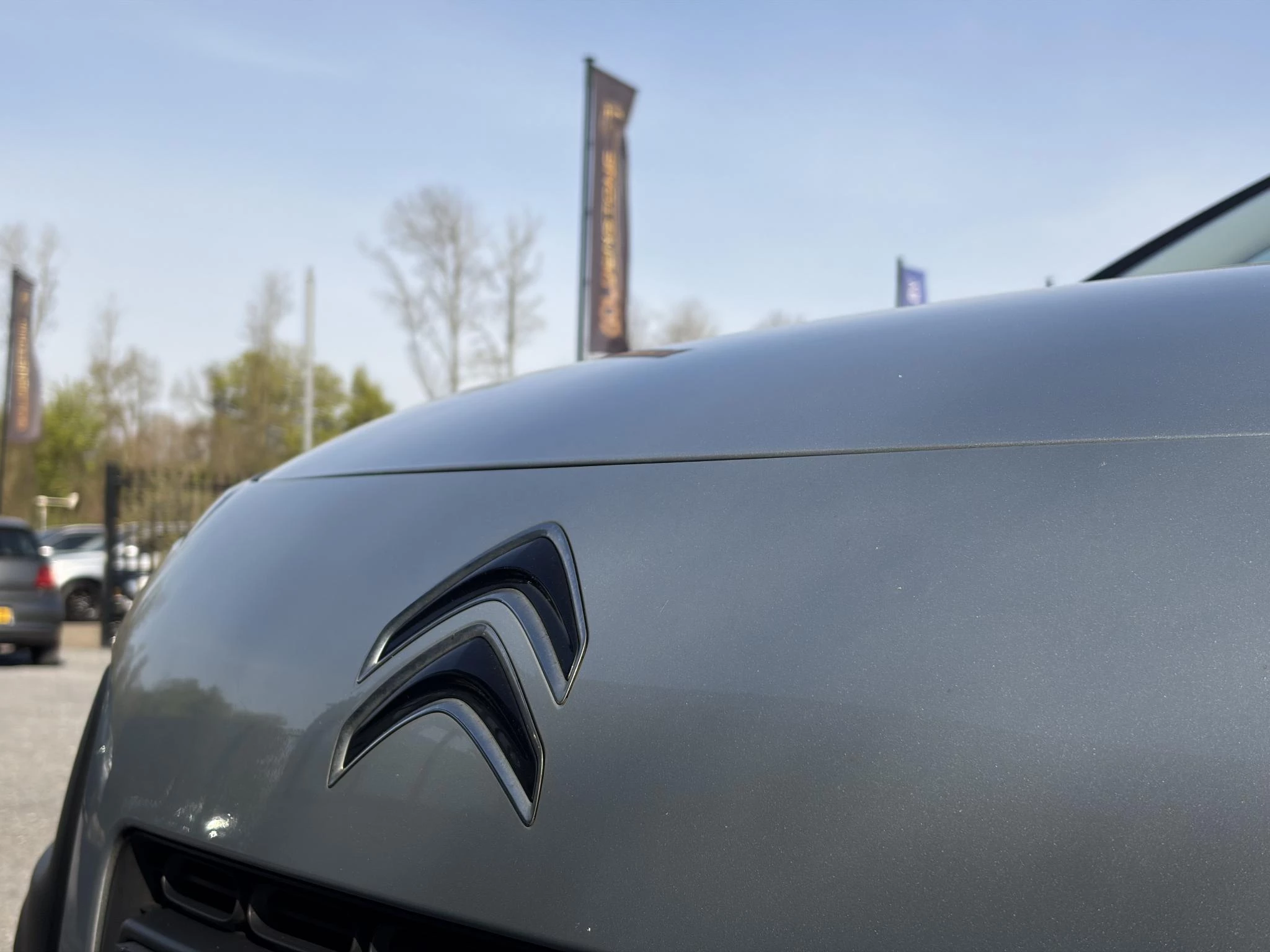 Hoofdafbeelding Citroën C4 Cactus