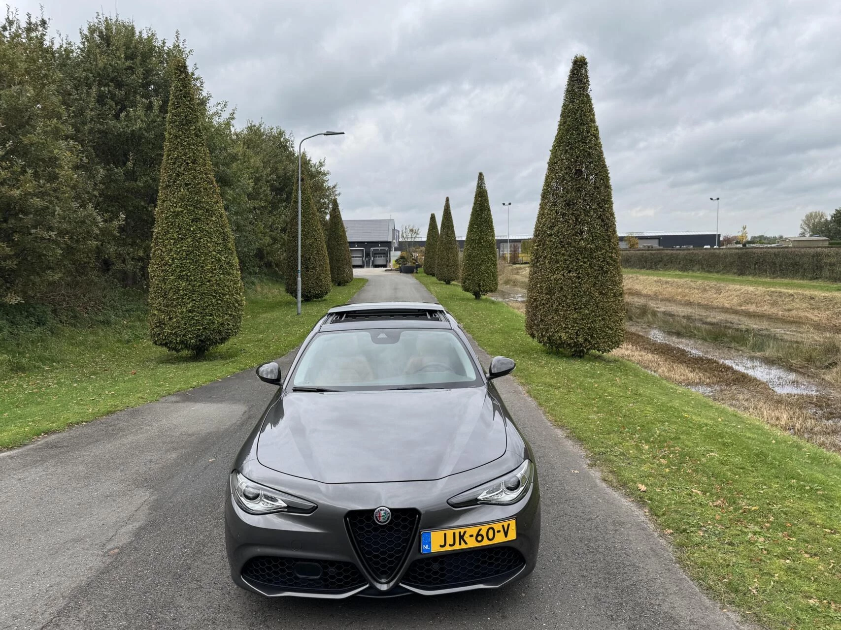 Hoofdafbeelding Alfa Romeo Giulia