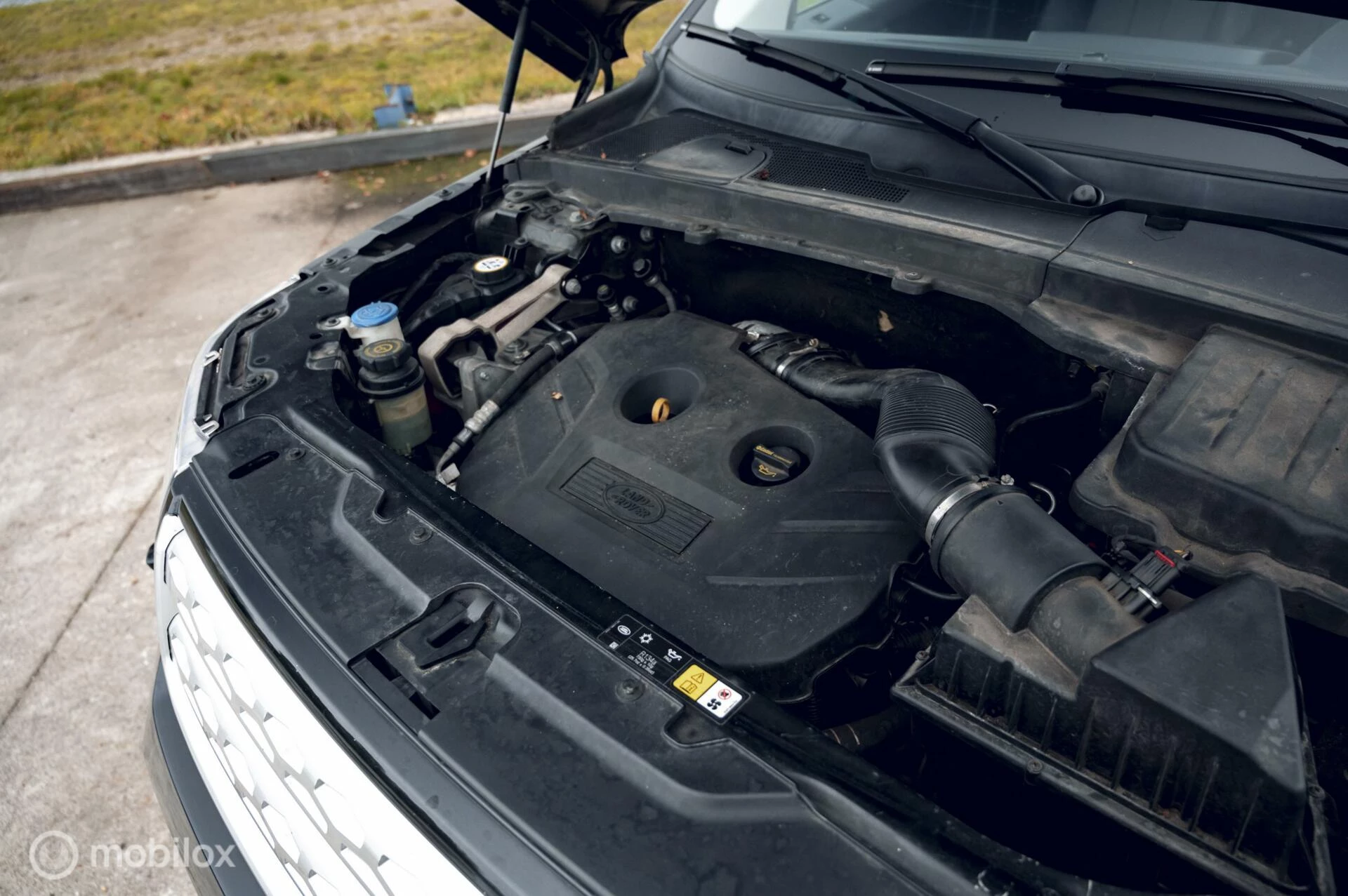 Hoofdafbeelding Land Rover Freelander