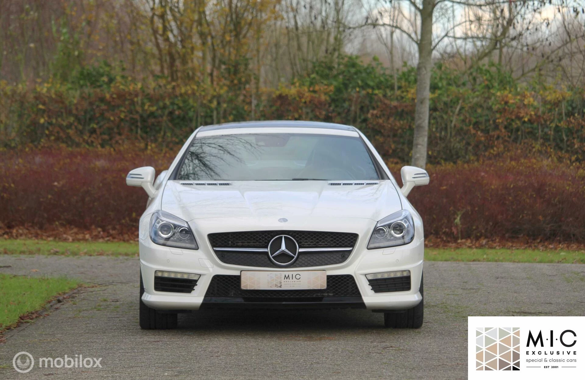 Hoofdafbeelding Mercedes-Benz SLK