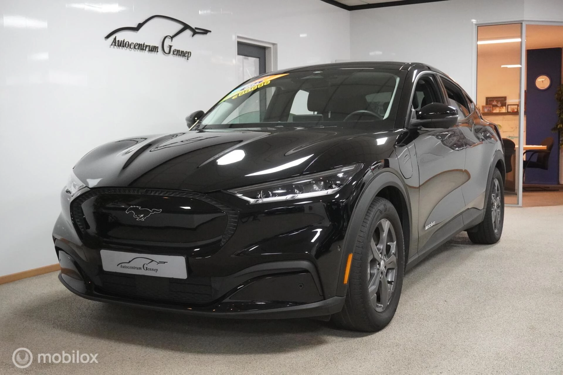 Hoofdafbeelding Ford Mustang Mach-E