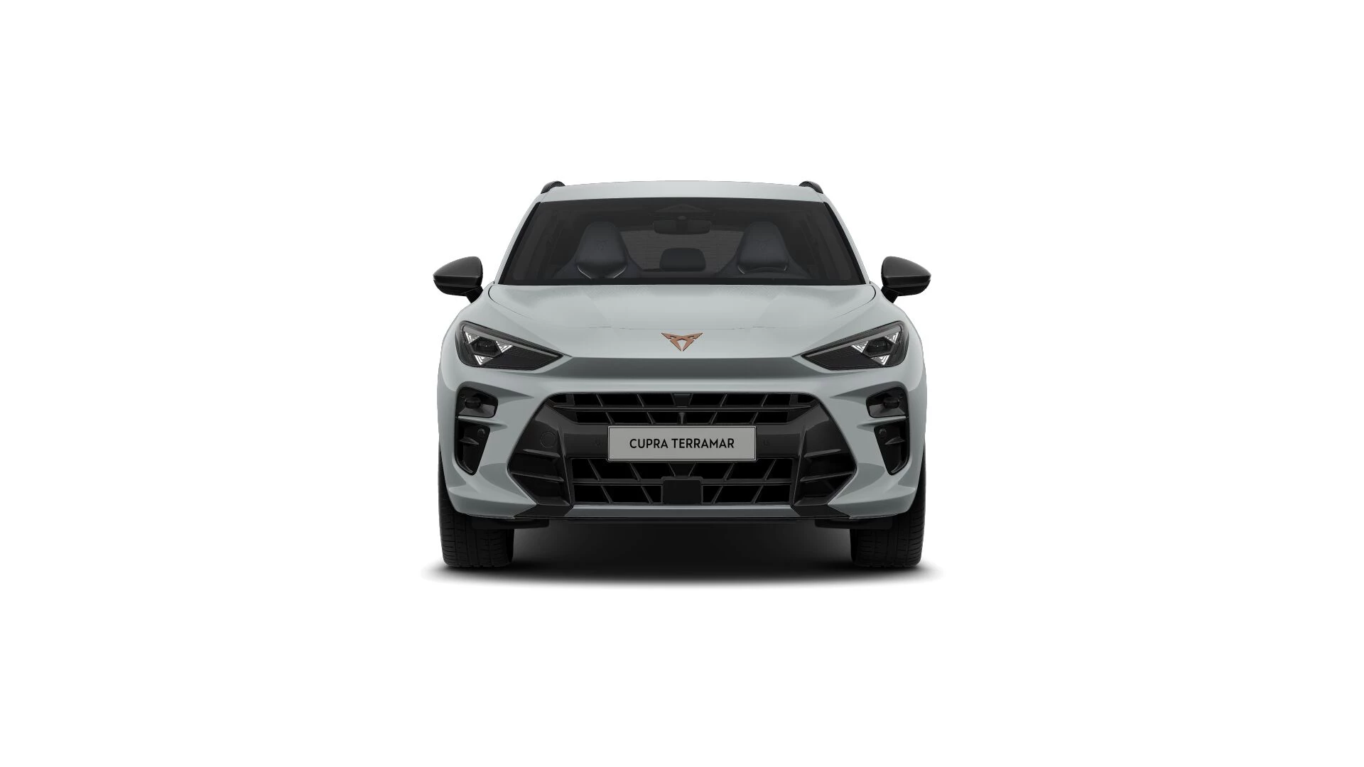 Hoofdafbeelding CUPRA Terramar