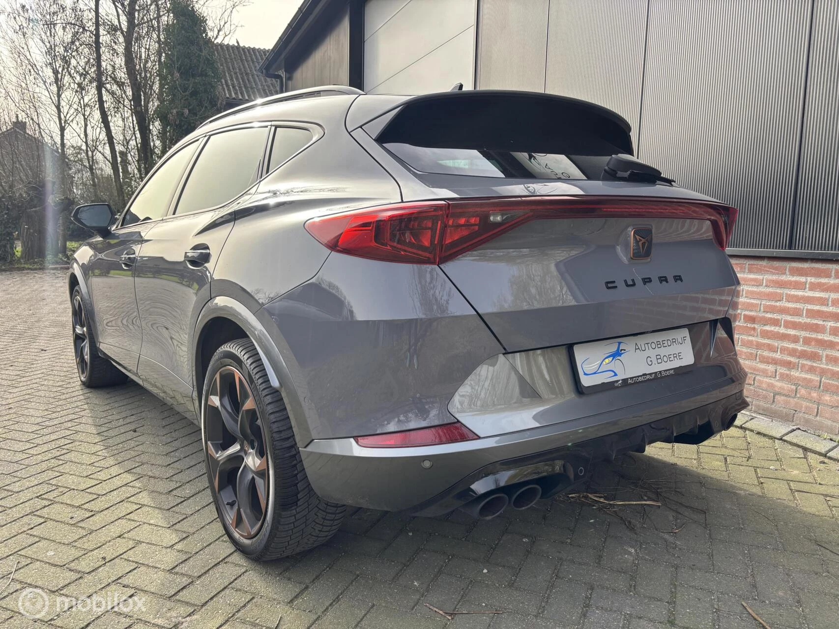 Hoofdafbeelding CUPRA Formentor