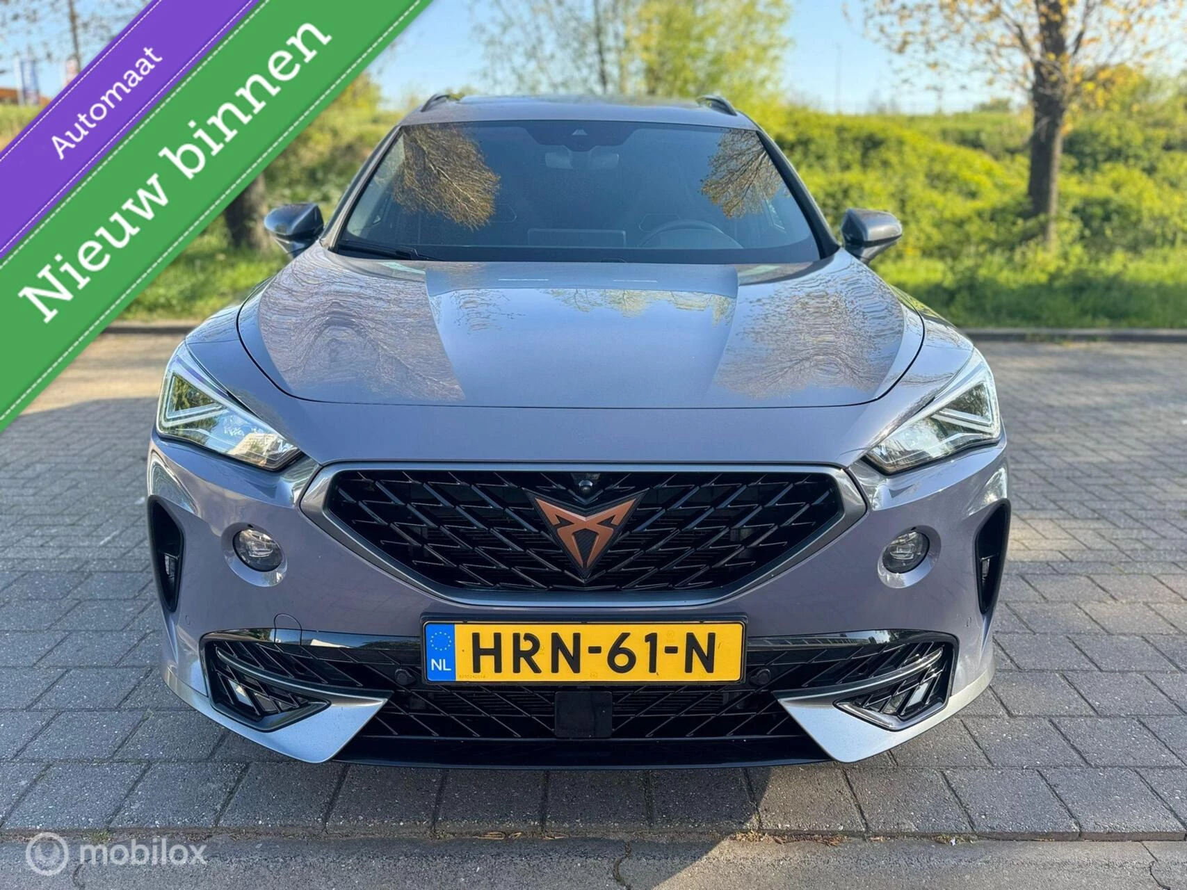 Hoofdafbeelding CUPRA Formentor
