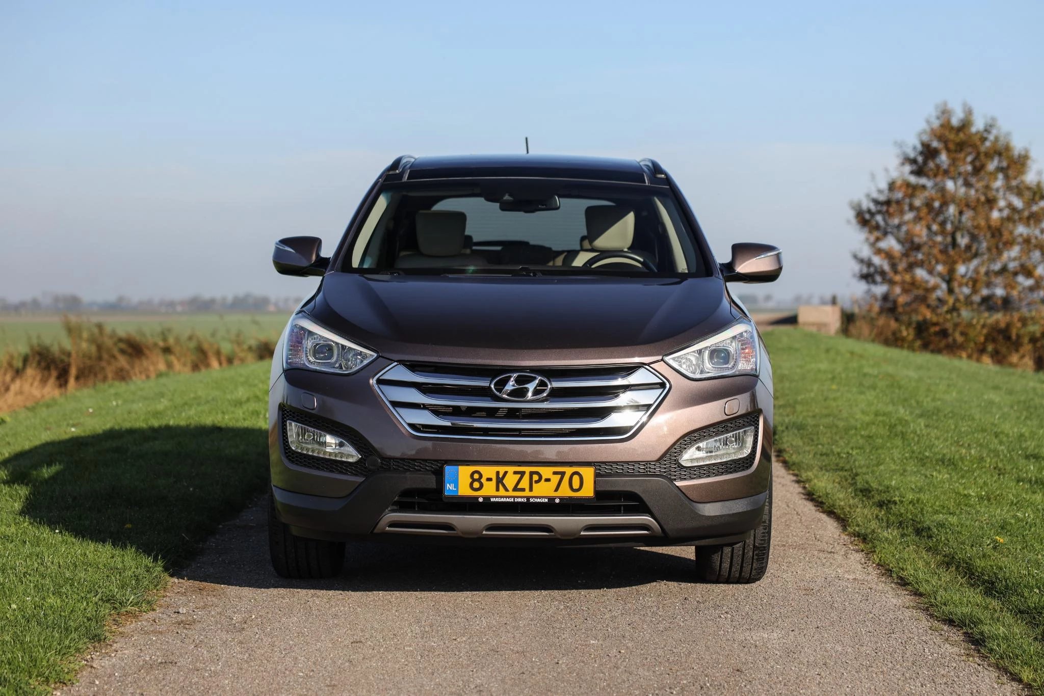 Hoofdafbeelding Hyundai Santa Fe