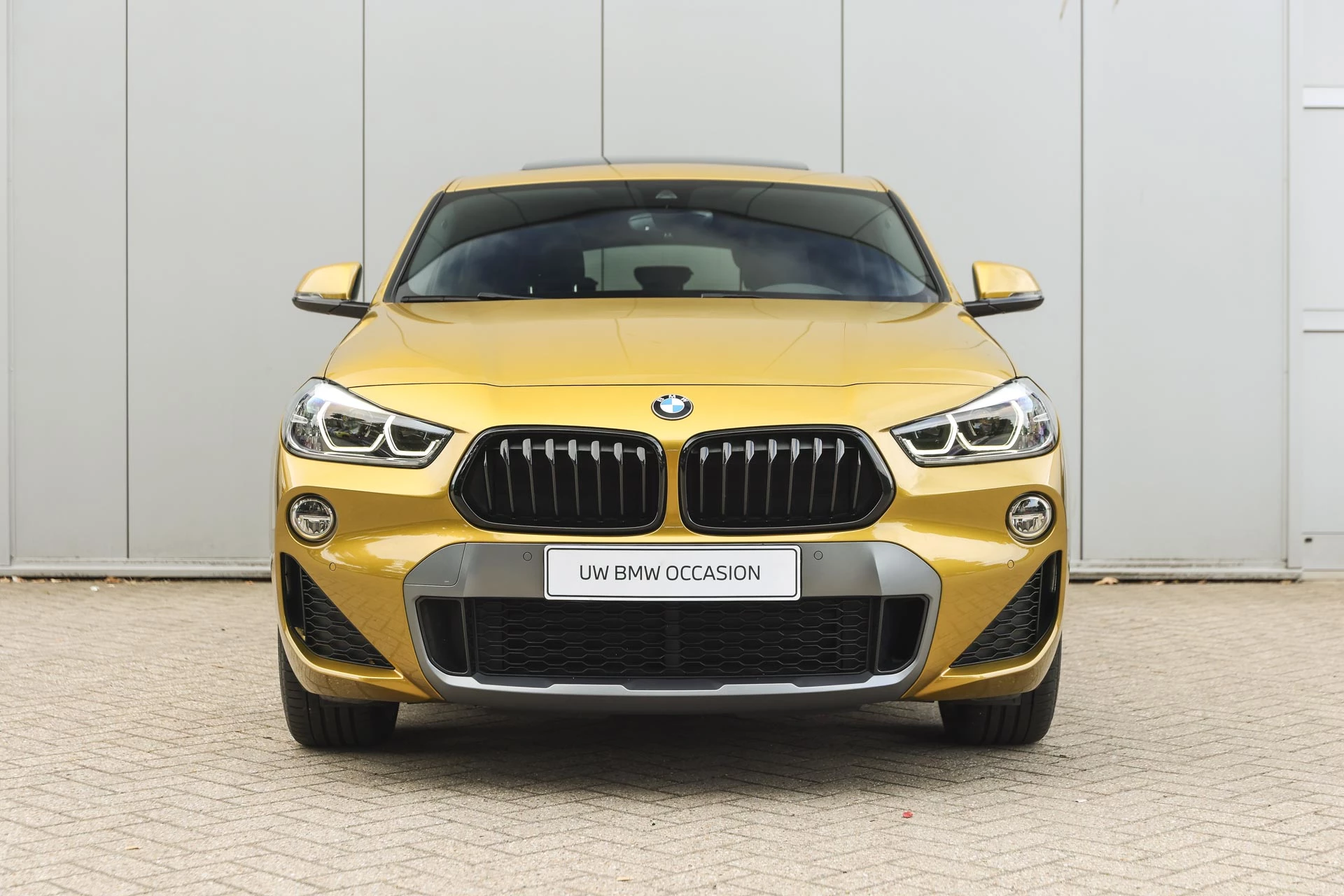 Hoofdafbeelding BMW X2