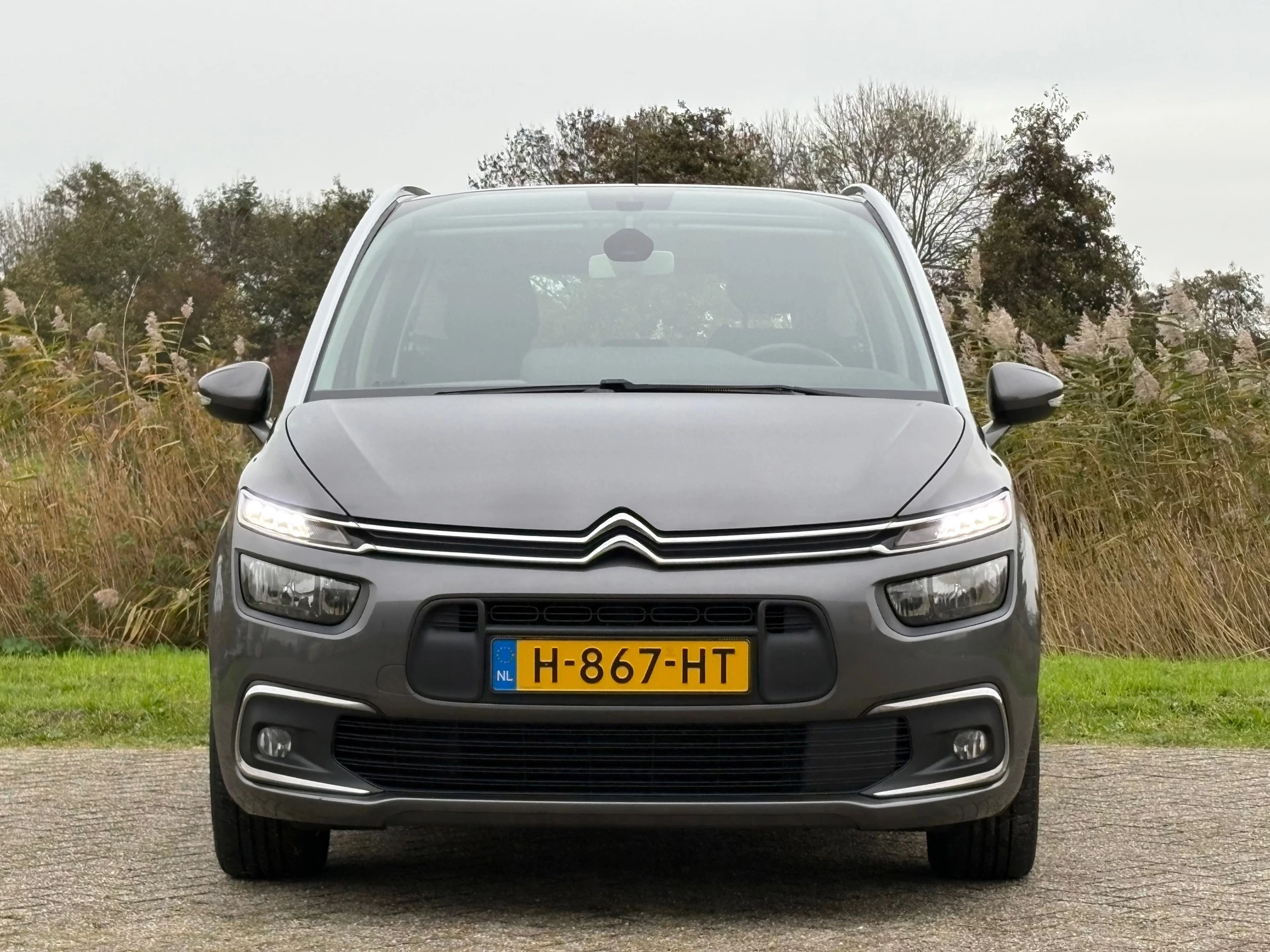 Hoofdafbeelding Citroën Grand C4 Spacetourer
