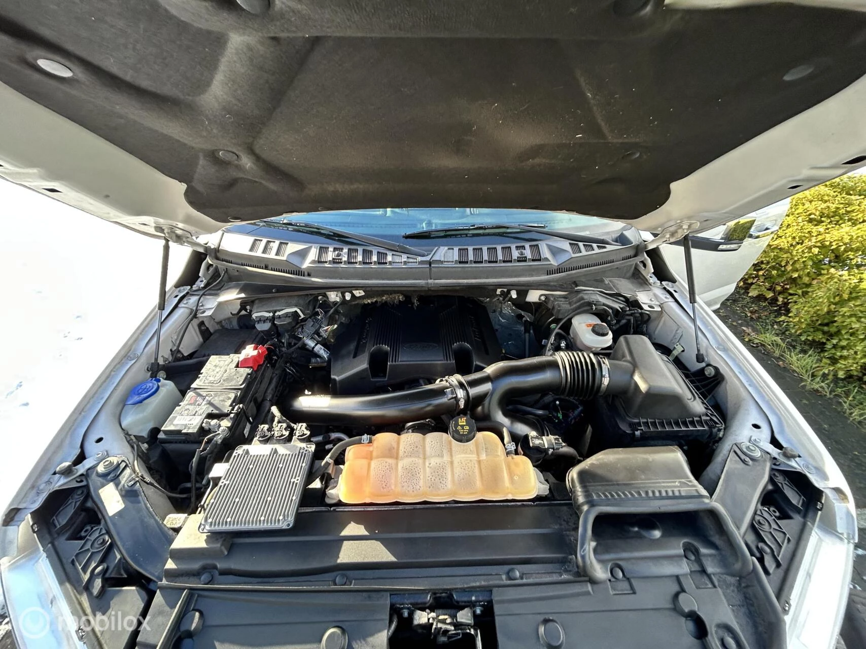 Hoofdafbeelding Ford F-150