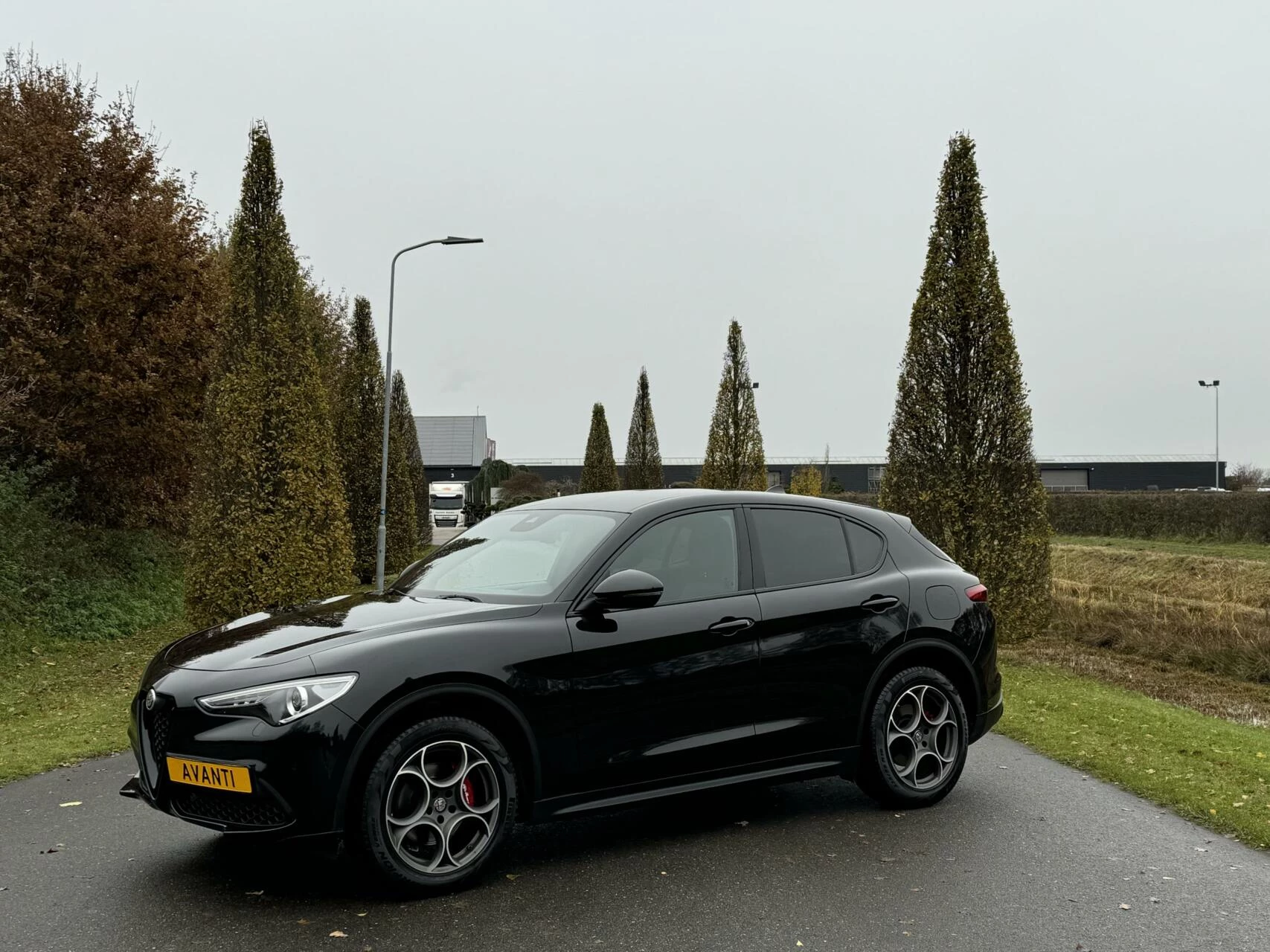 Hoofdafbeelding Alfa Romeo Stelvio