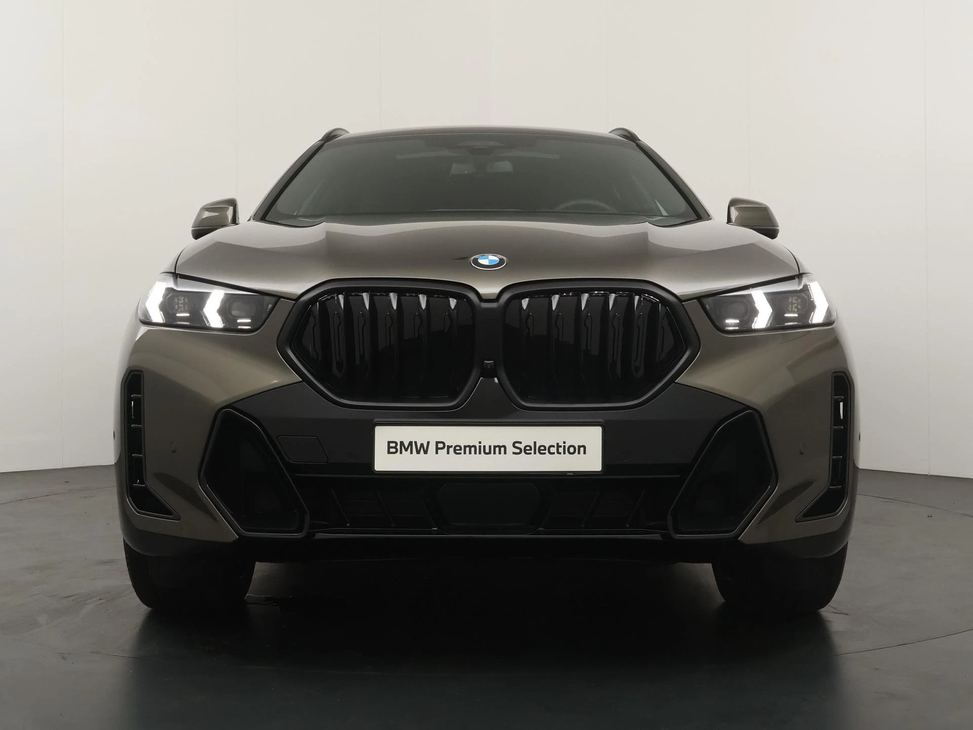 Hoofdafbeelding BMW X6