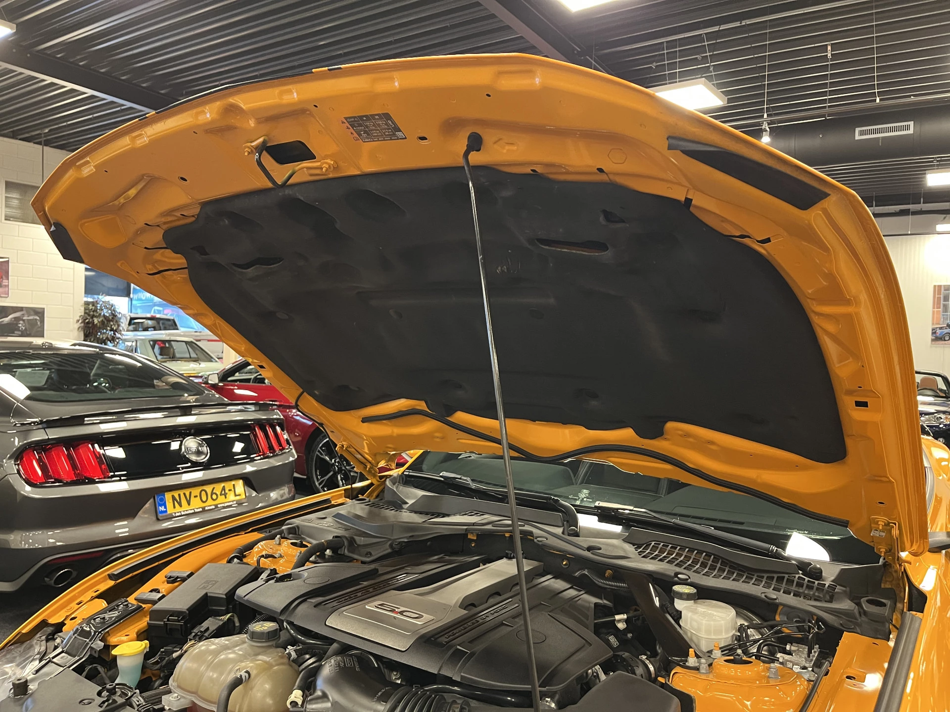 Hoofdafbeelding Ford Mustang