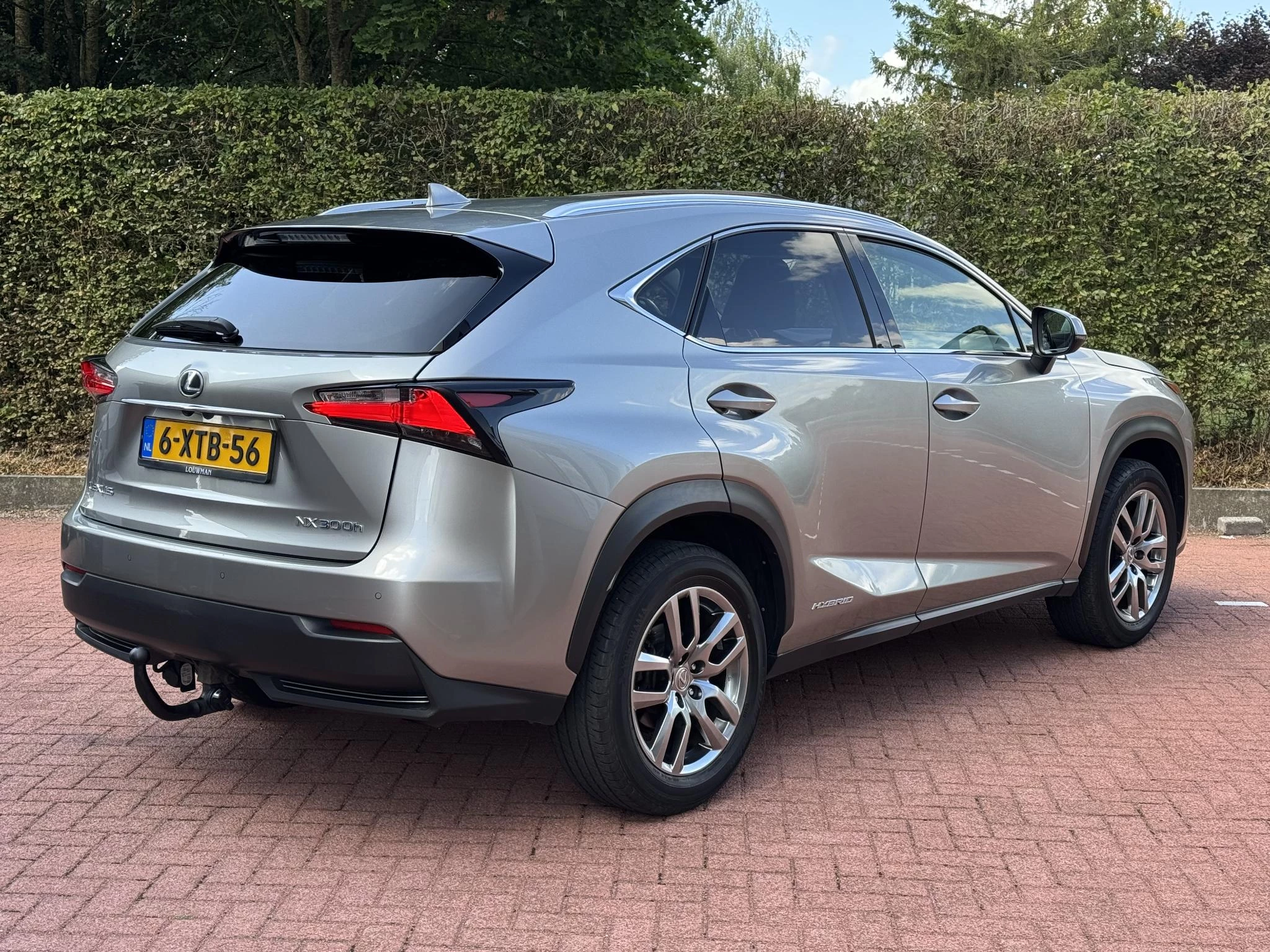 Hoofdafbeelding Lexus NX