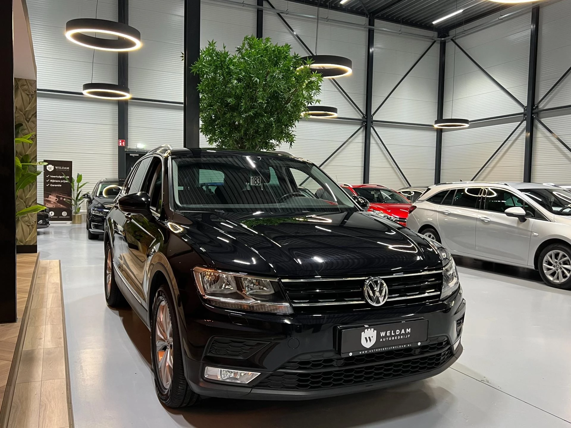 Hoofdafbeelding Volkswagen Tiguan