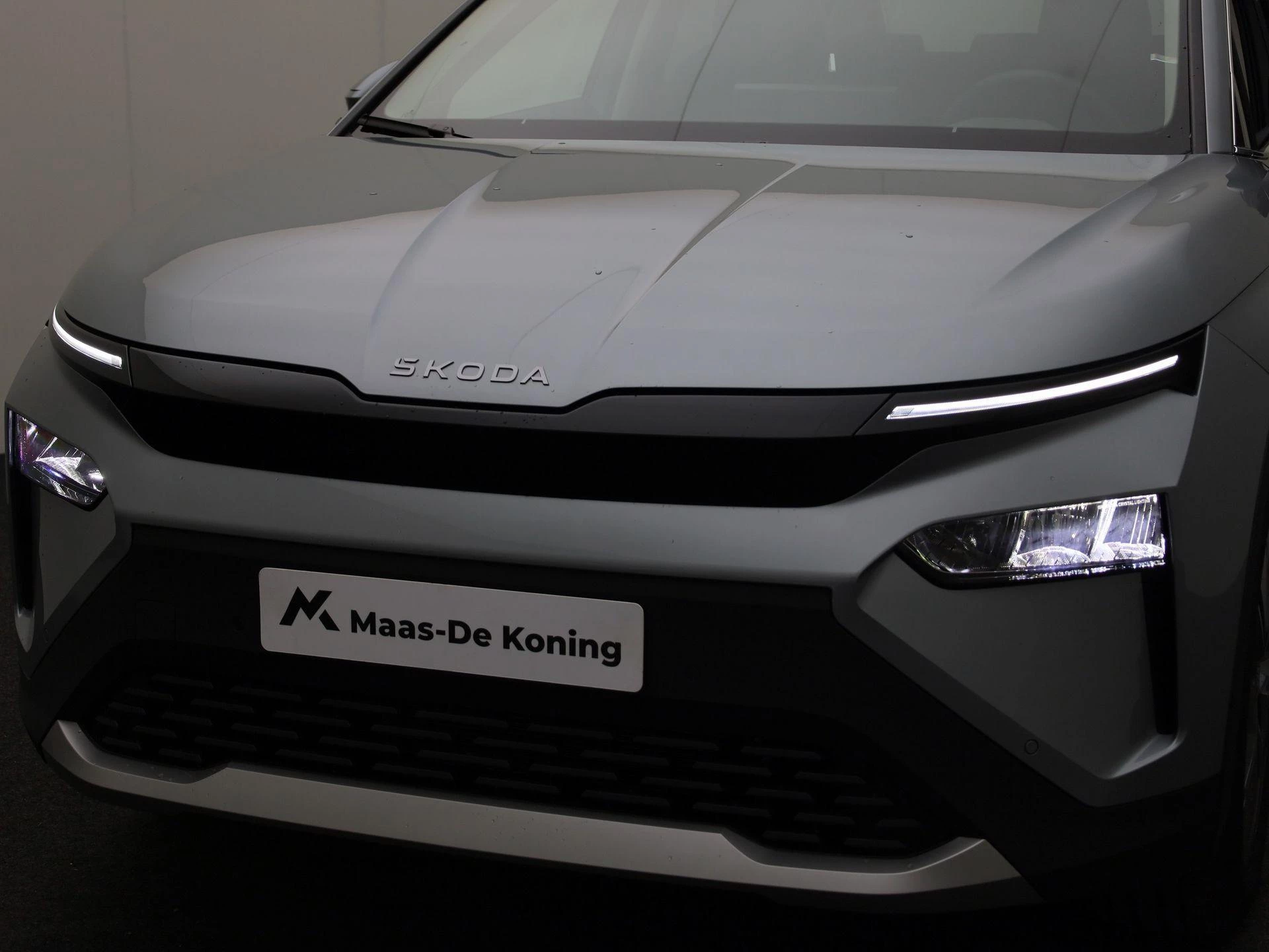 Hoofdafbeelding Škoda Elroq