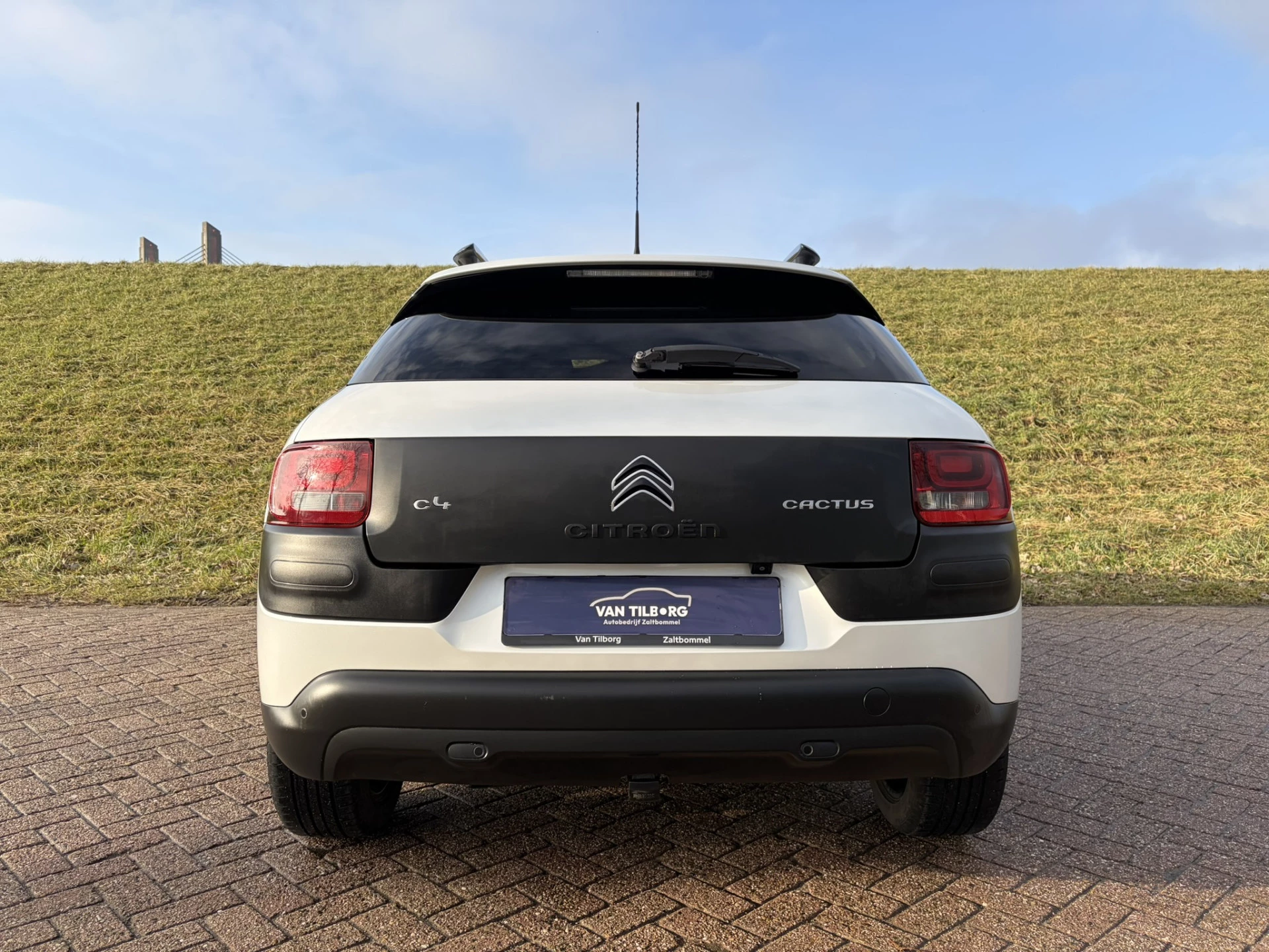 Hoofdafbeelding Citroën C4 Cactus