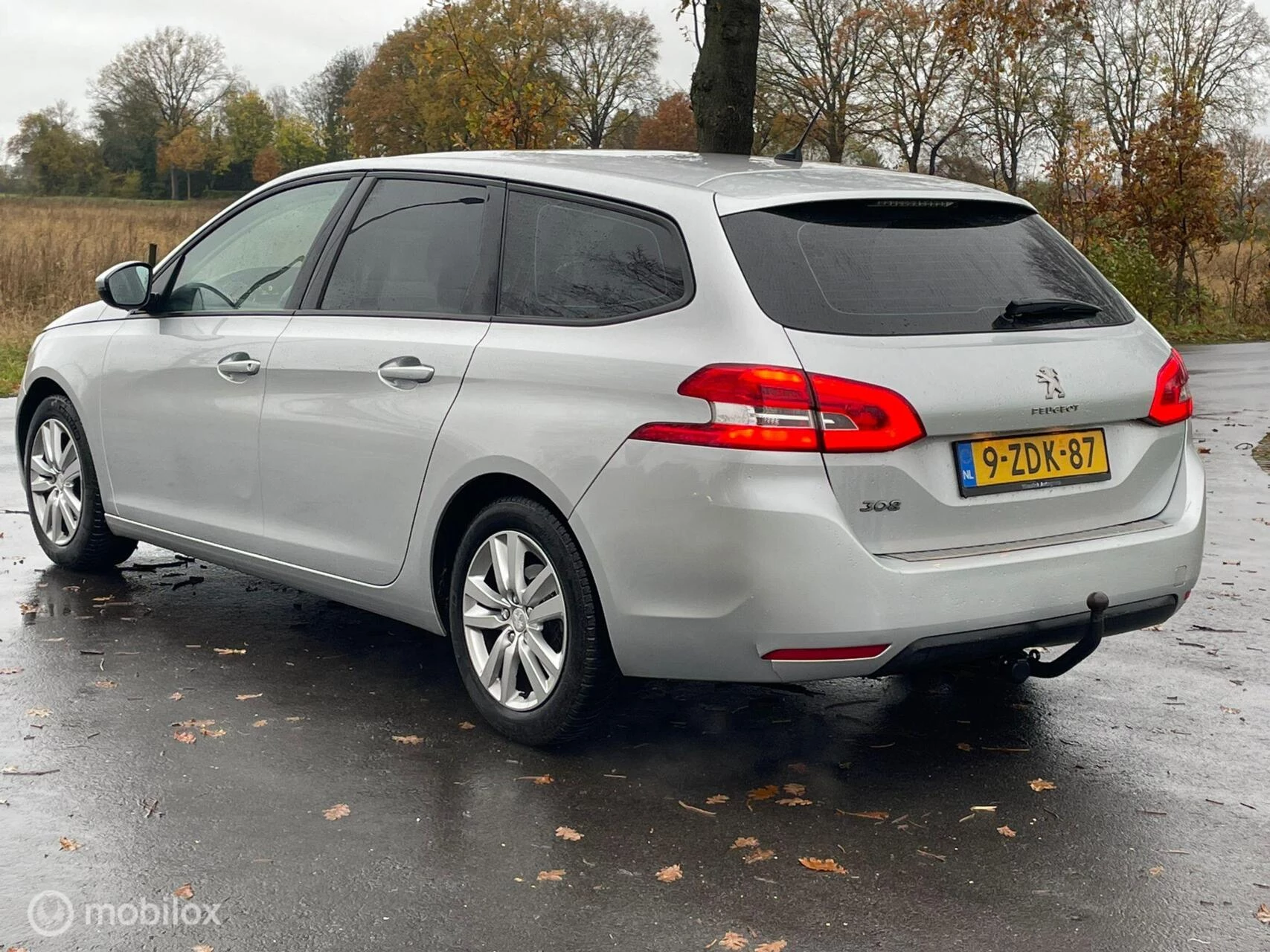 Hoofdafbeelding Peugeot 308