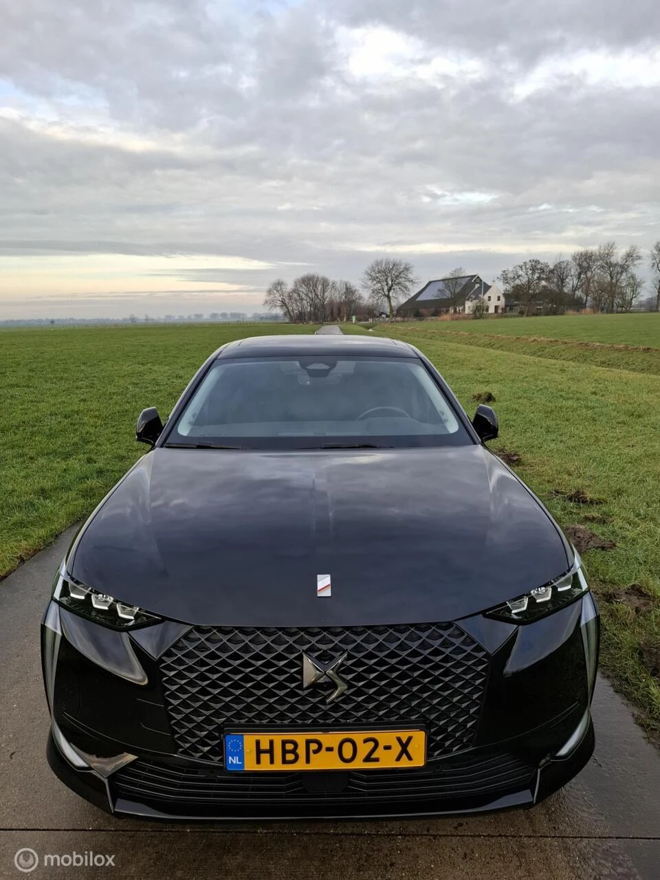 Hoofdafbeelding DS DS 4