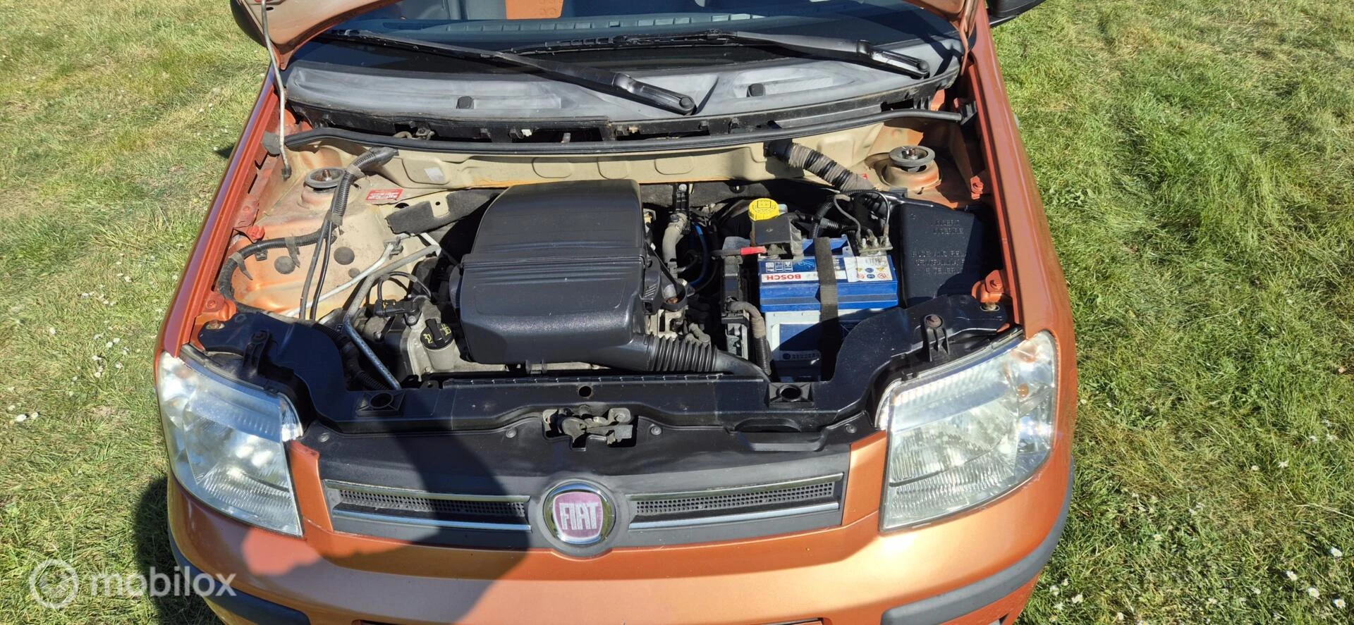 Hoofdafbeelding Fiat Panda