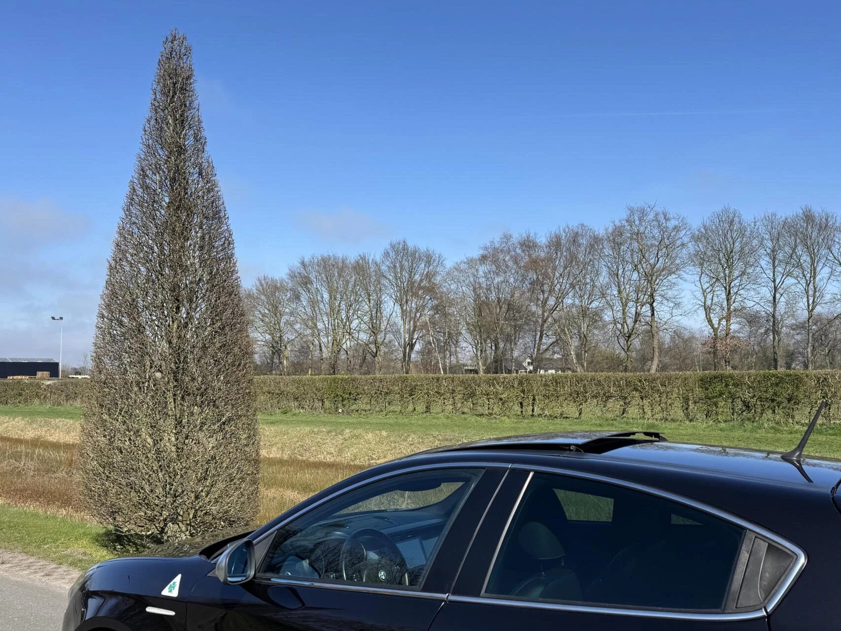 Hoofdafbeelding Alfa Romeo Giulietta