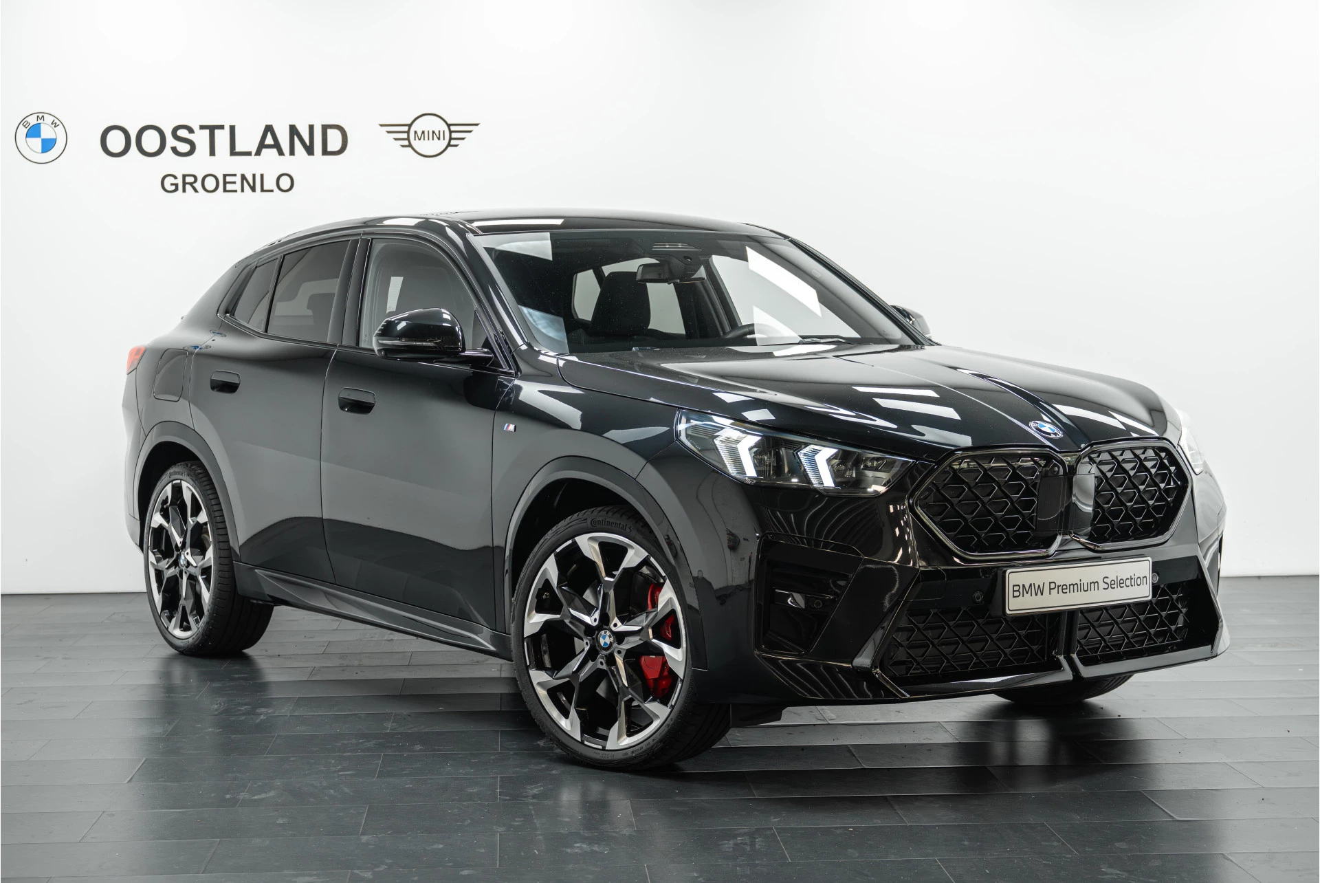 Hoofdafbeelding BMW X2