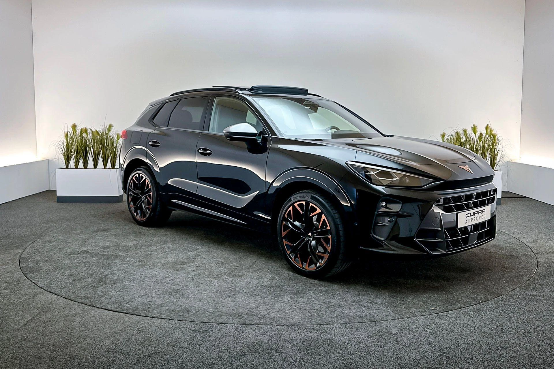 Hoofdafbeelding CUPRA Terramar