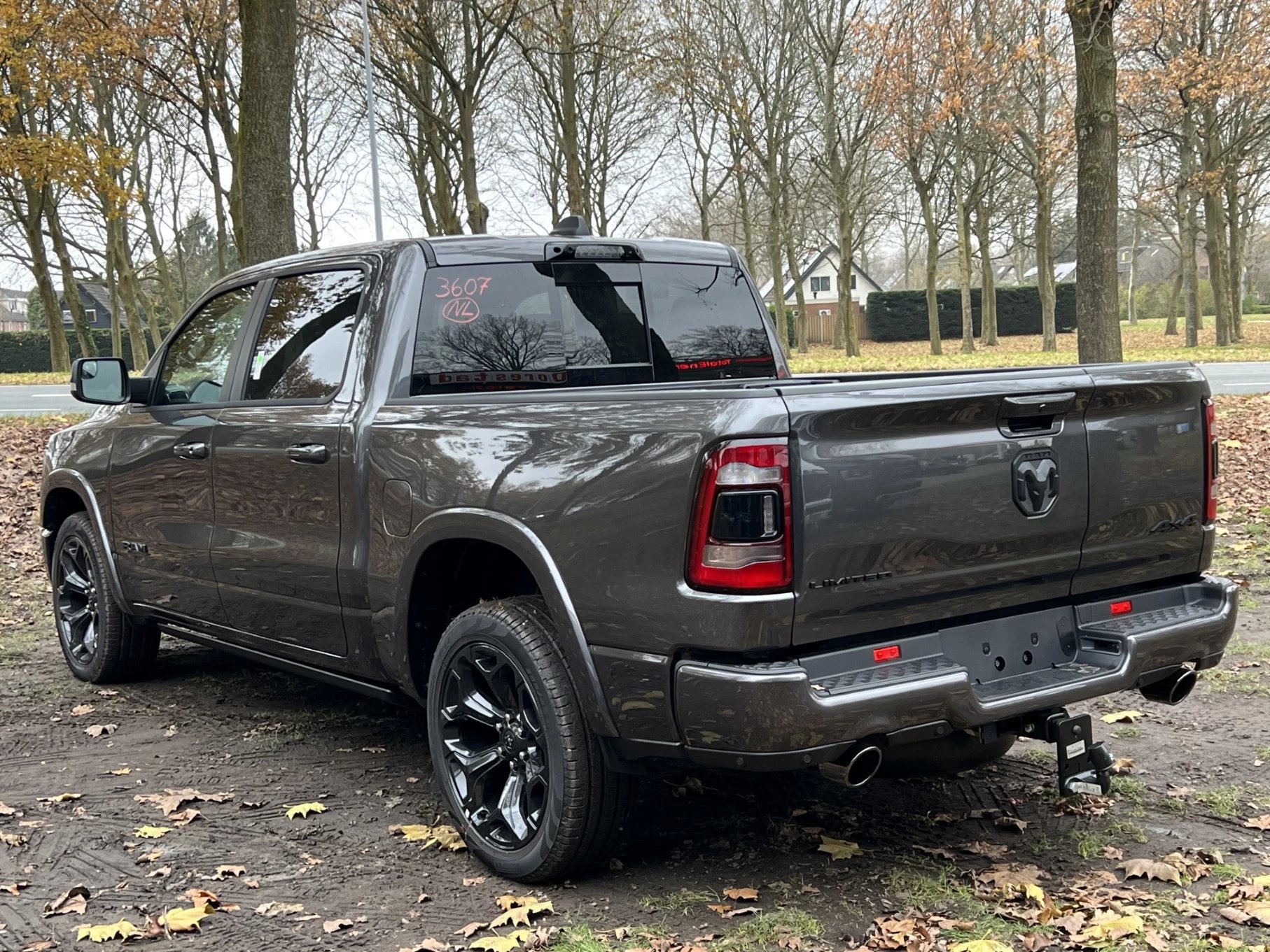 Hoofdafbeelding Dodge Ram Pick-Up