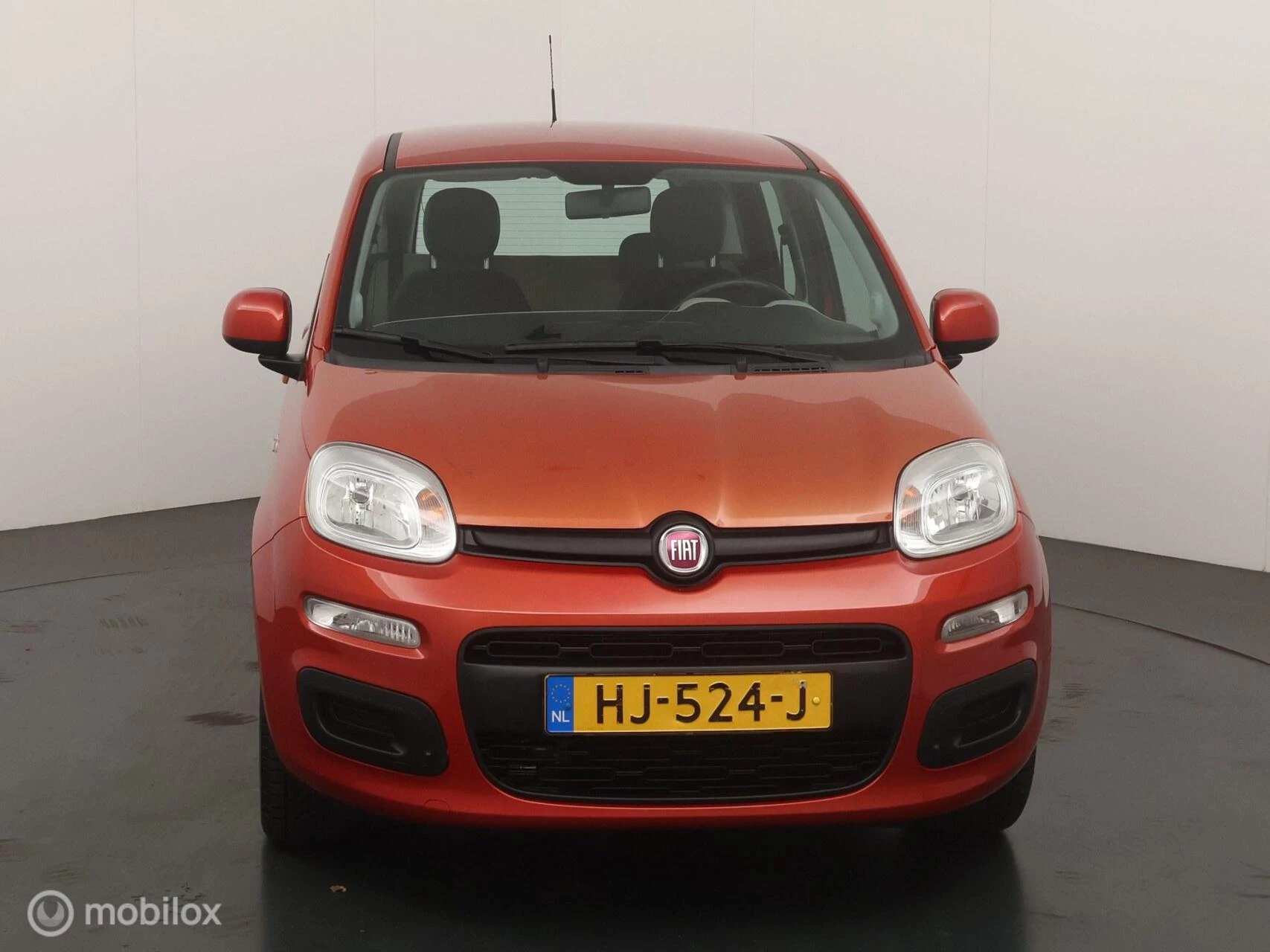 Hoofdafbeelding Fiat Panda