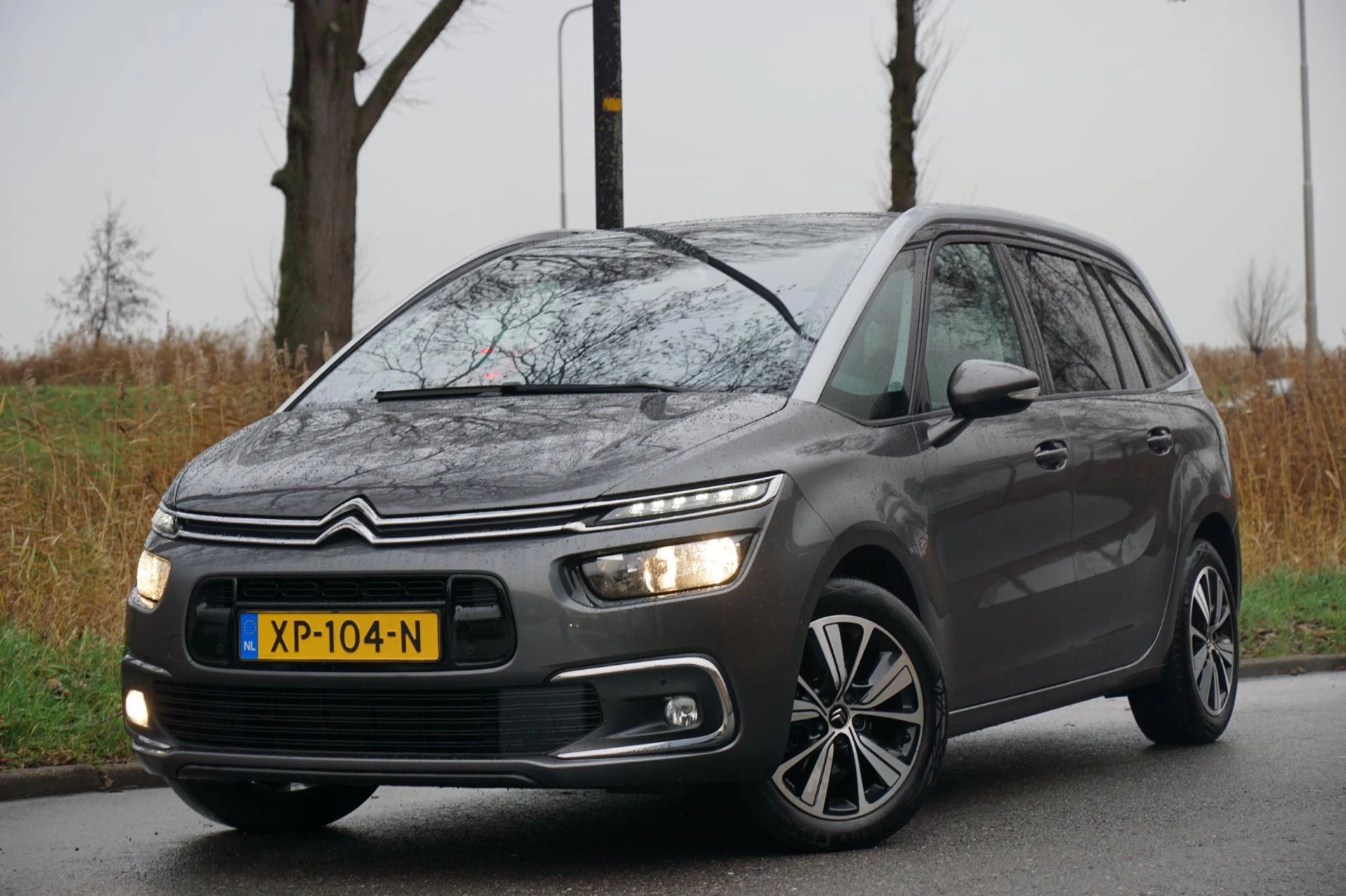 Hoofdafbeelding Citroën Grand C4 Picasso